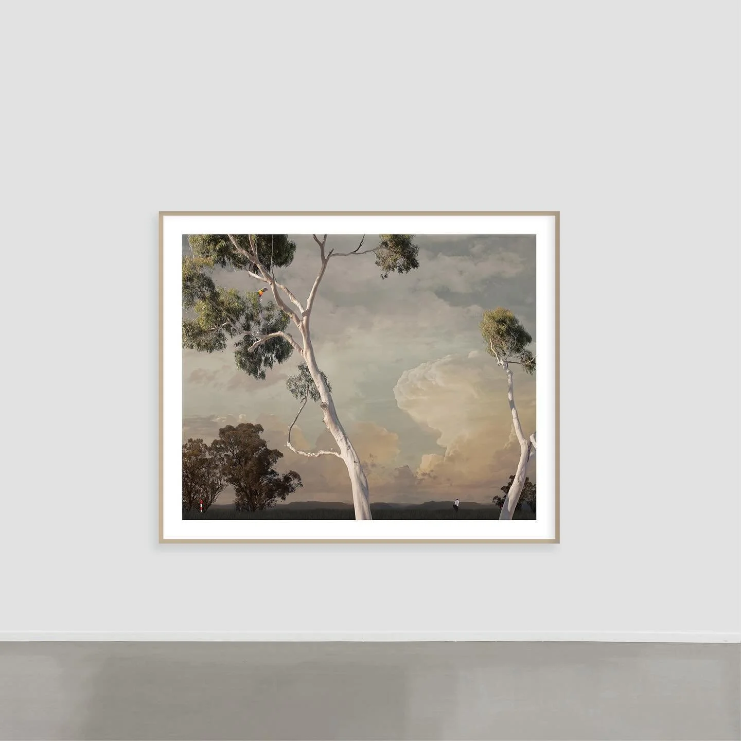 FORTIUS
134.5 x 110cm 
Avail @Otomys