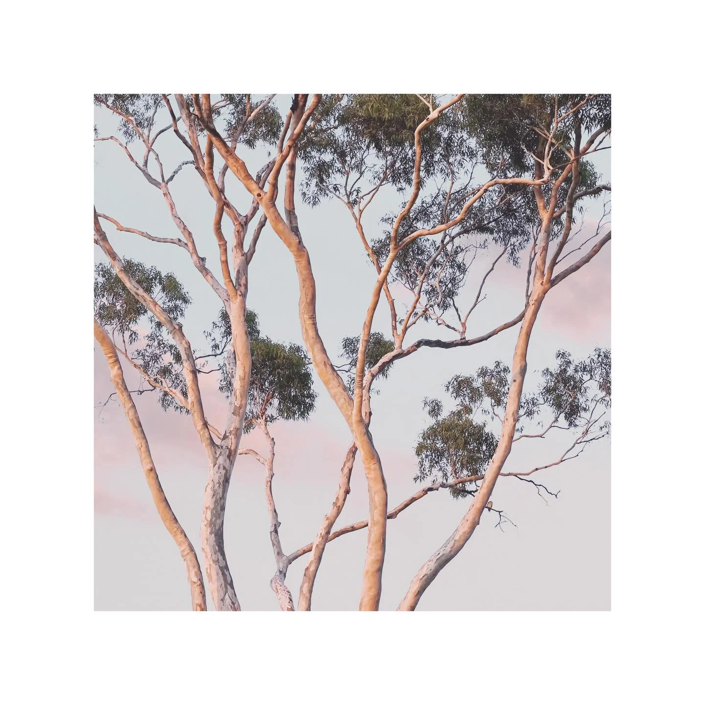 Day is Light