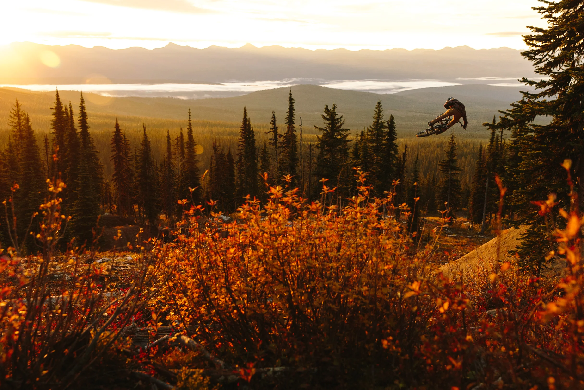 Ryan Howard, Fall Colours