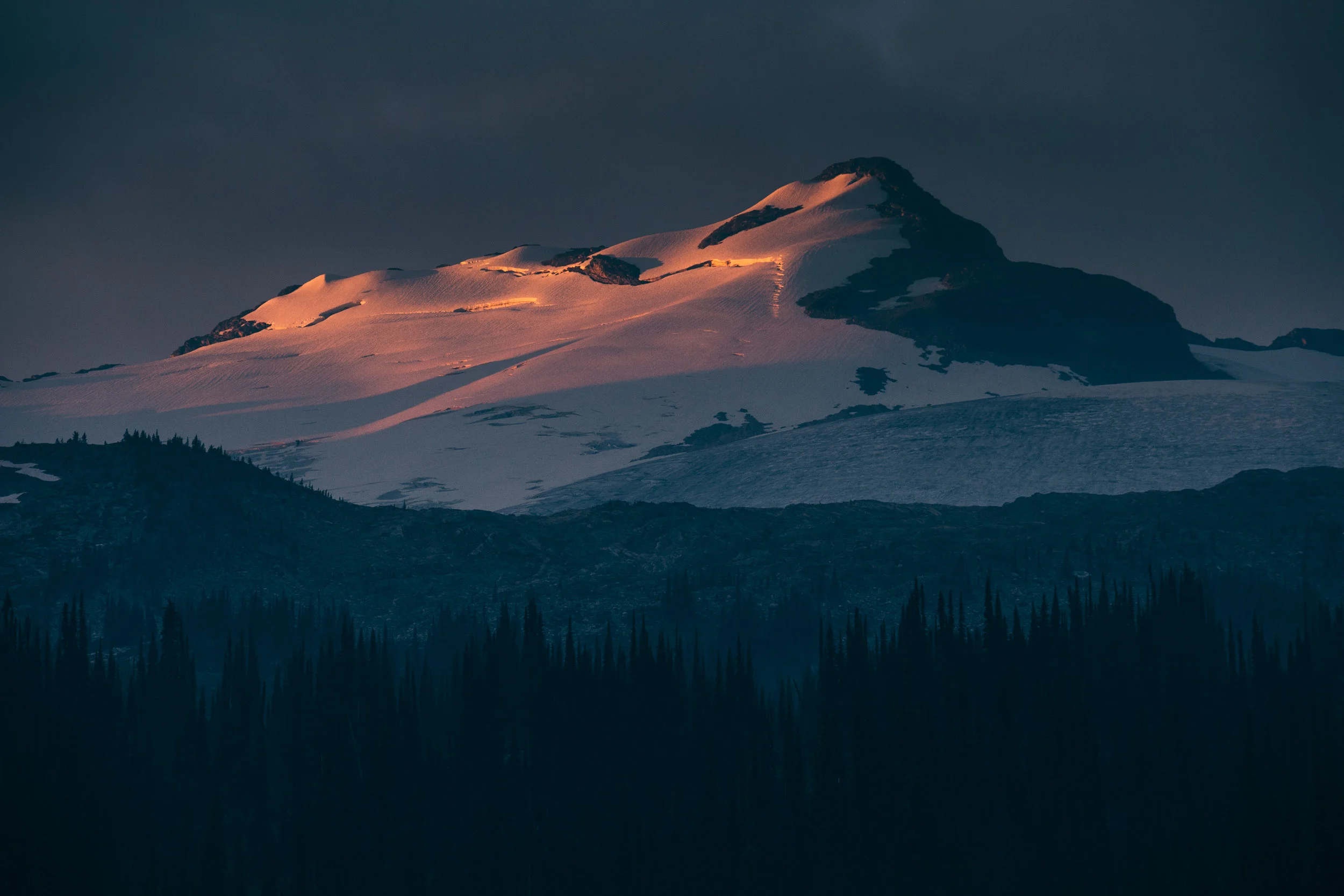 Photo: Robb Thompson