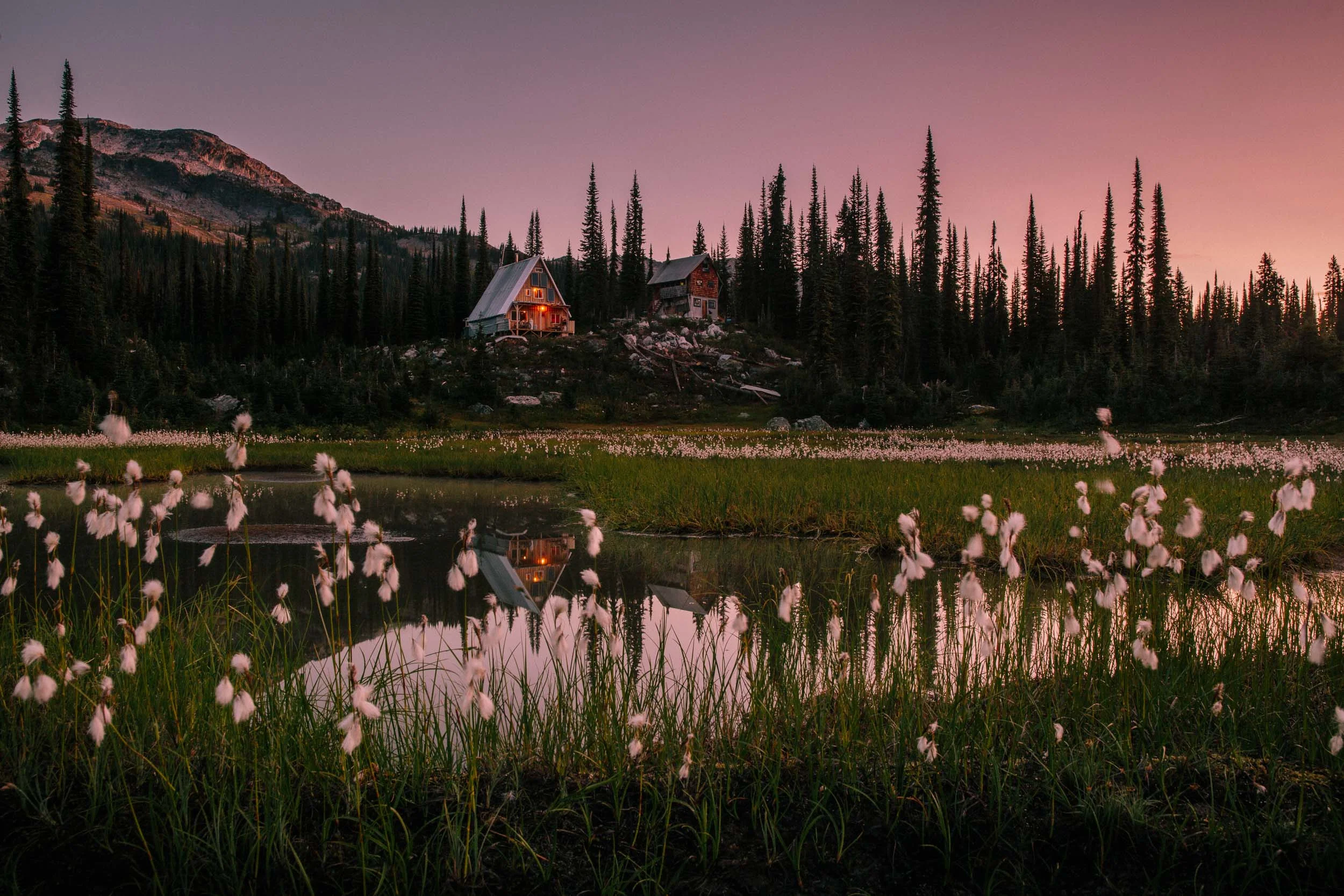 Photo: Robb Thompson