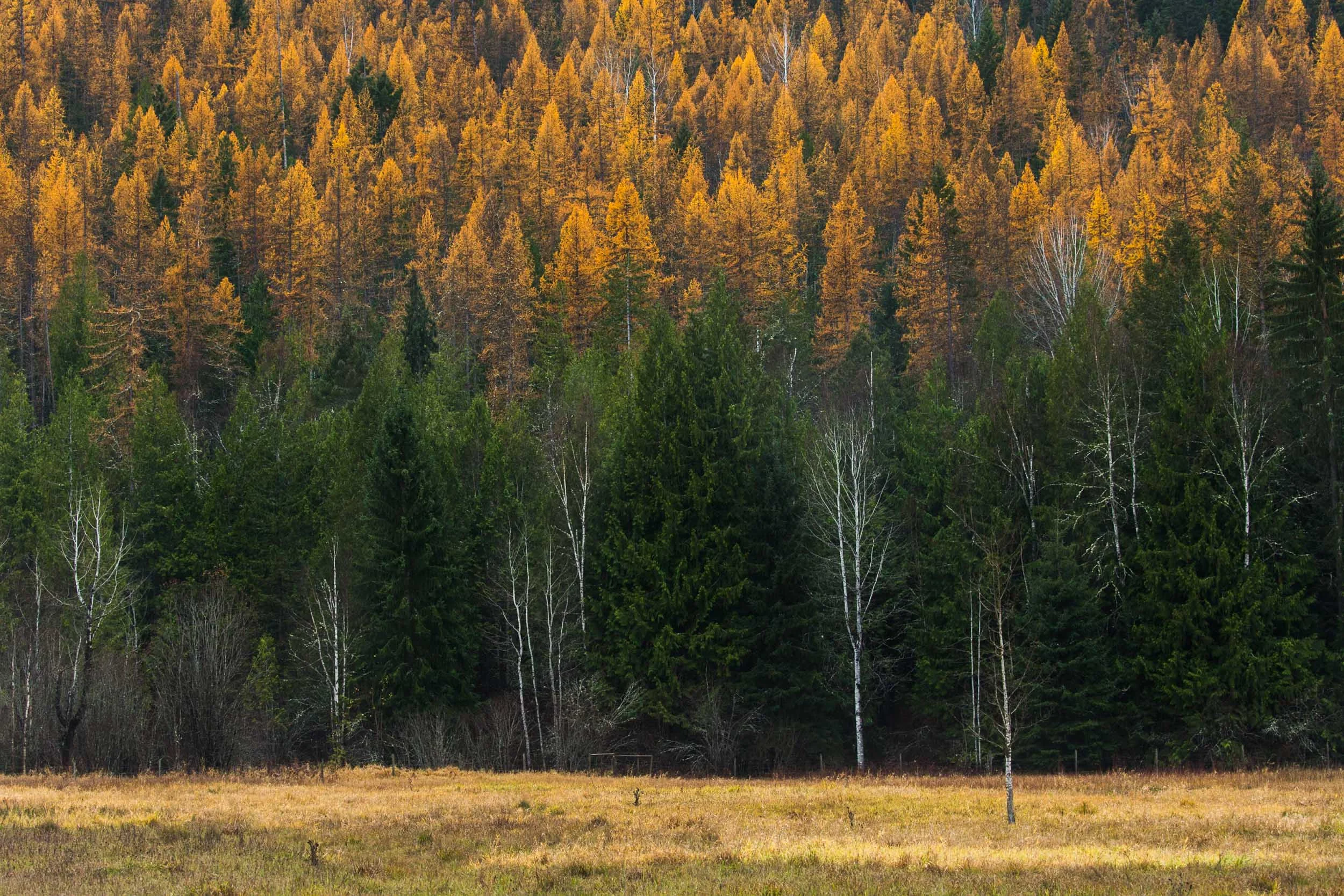 - Photo: Robb Thompson