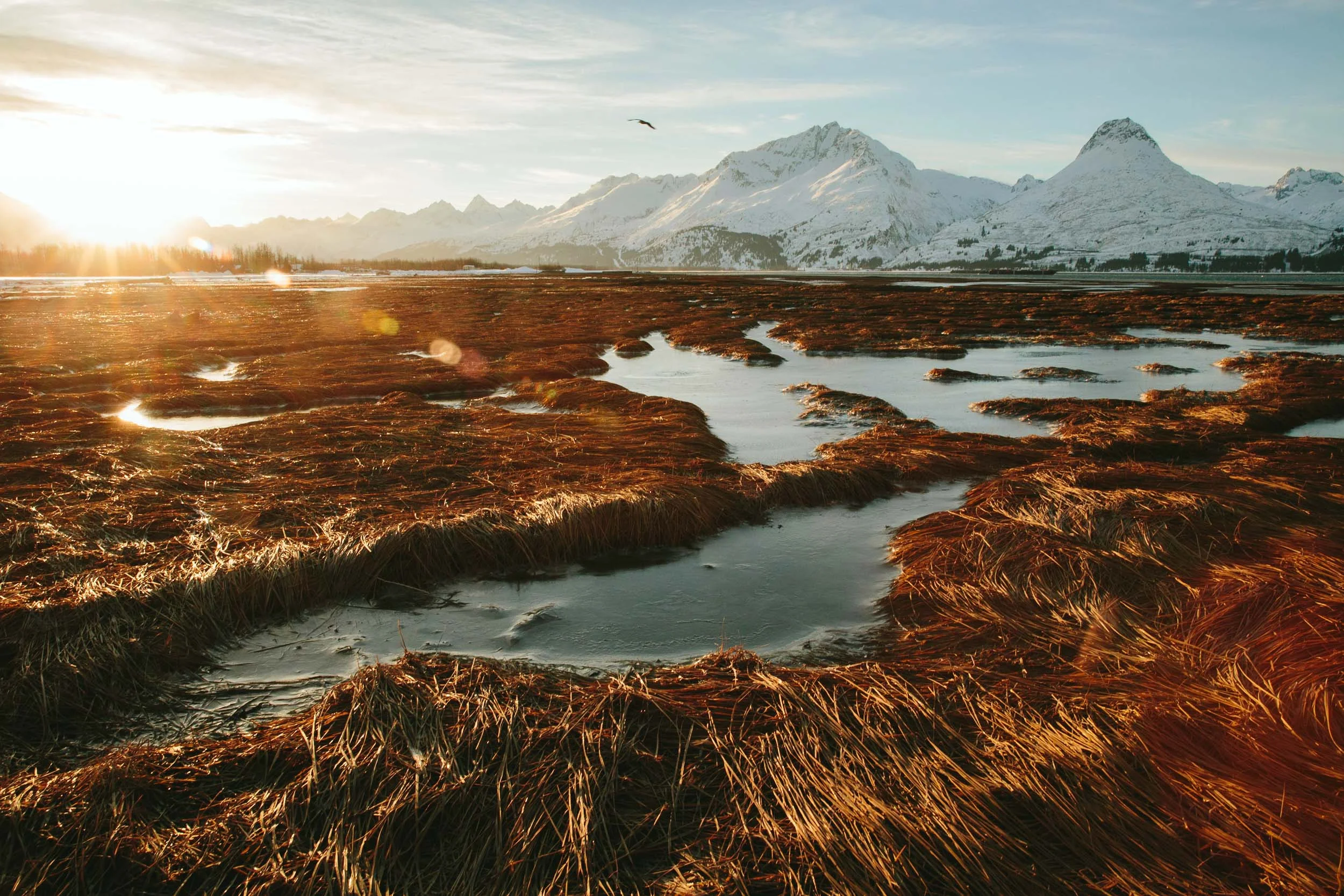 Frozen tidal pools on the Port Valdez. Photo: Robb Thompson