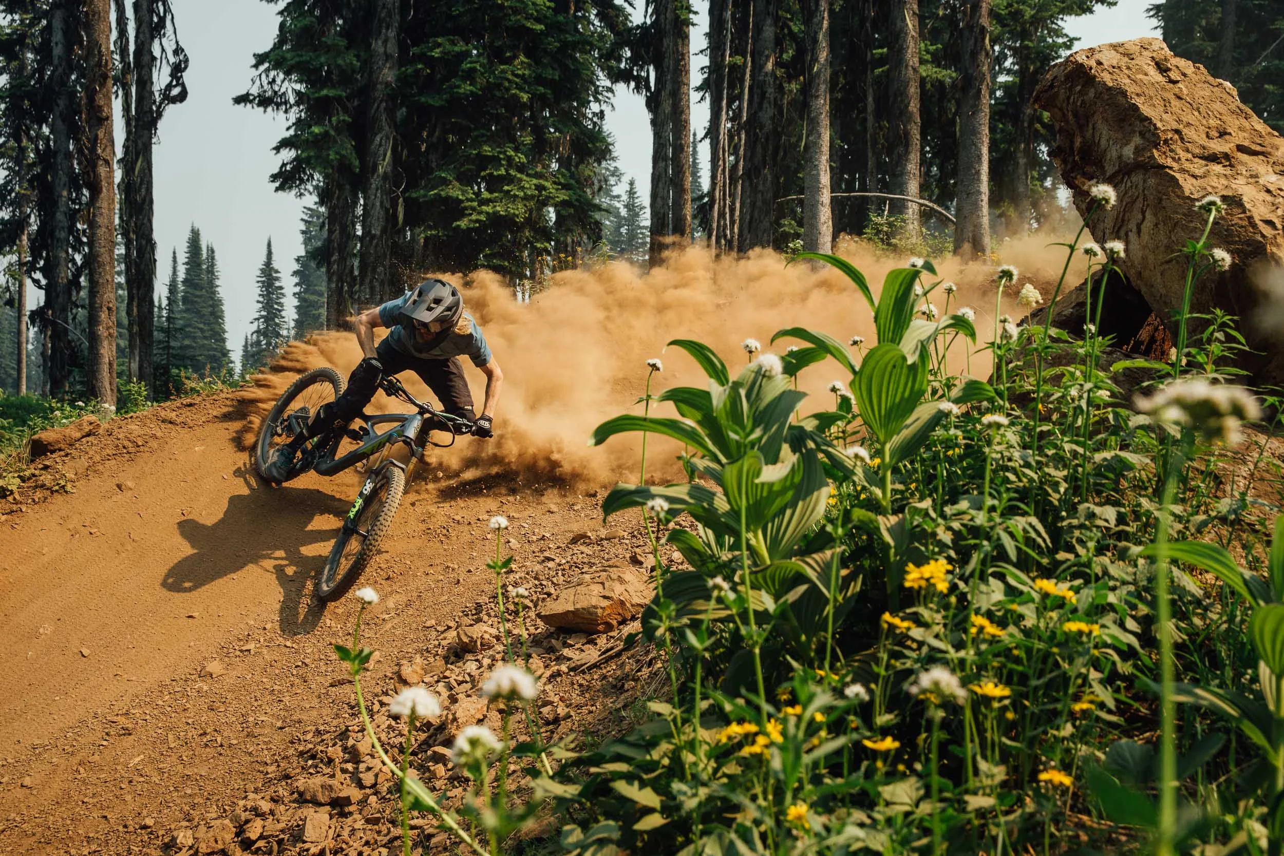 Photo: Robb Thompson