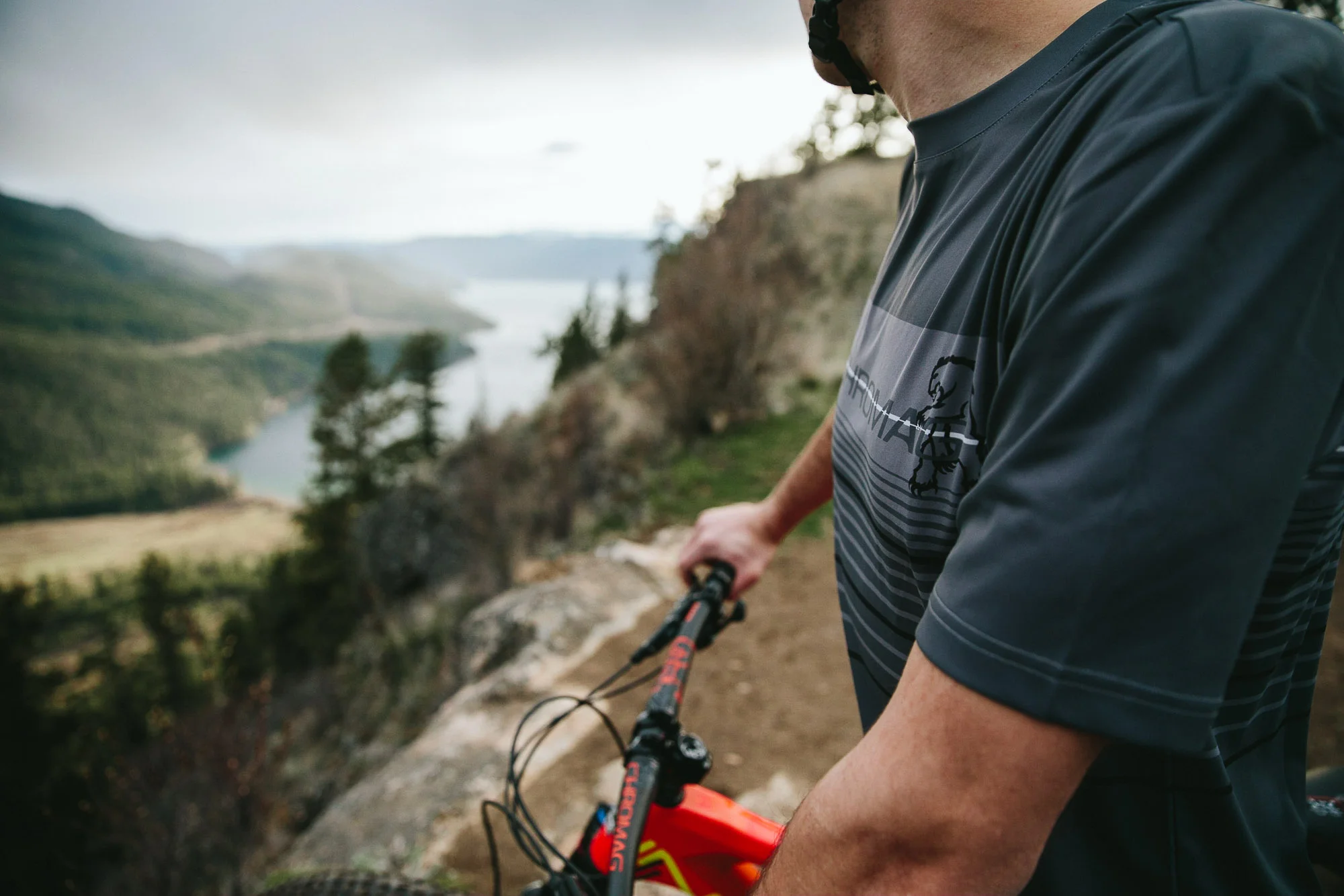  Photo: Robb Thompson 