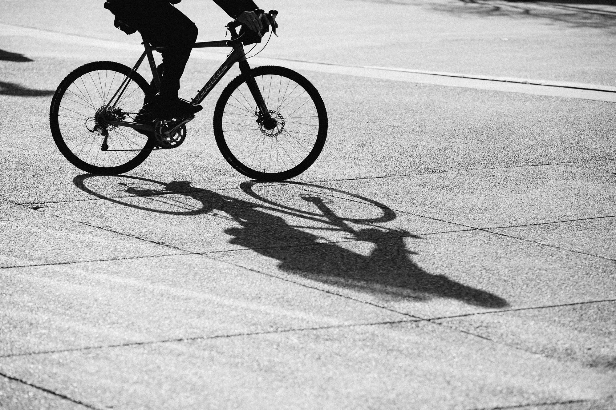 Robb Thompson Photo