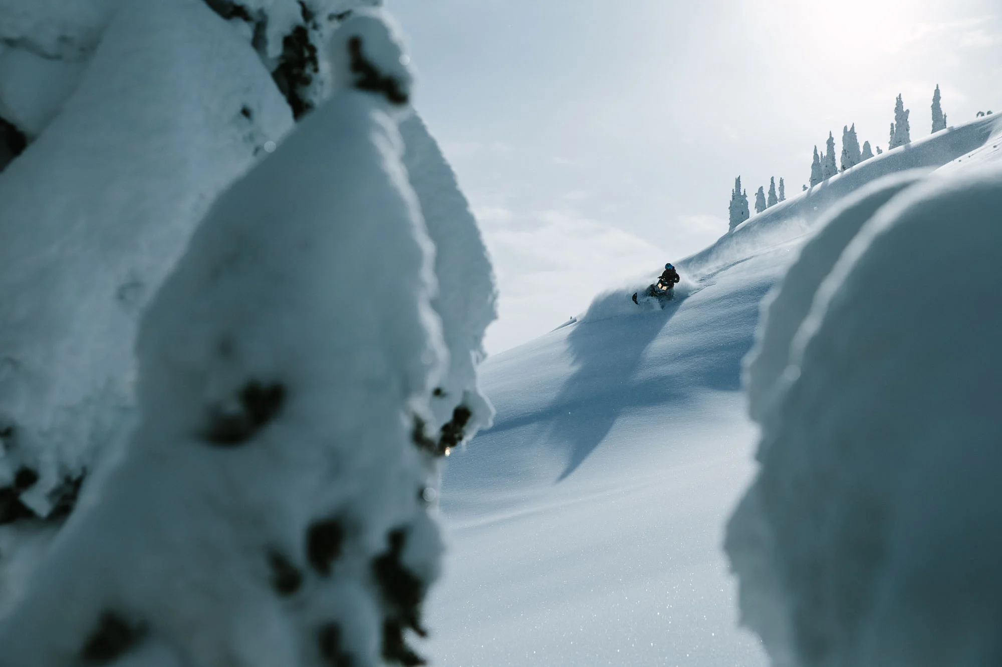 Photo: Robb Thompson