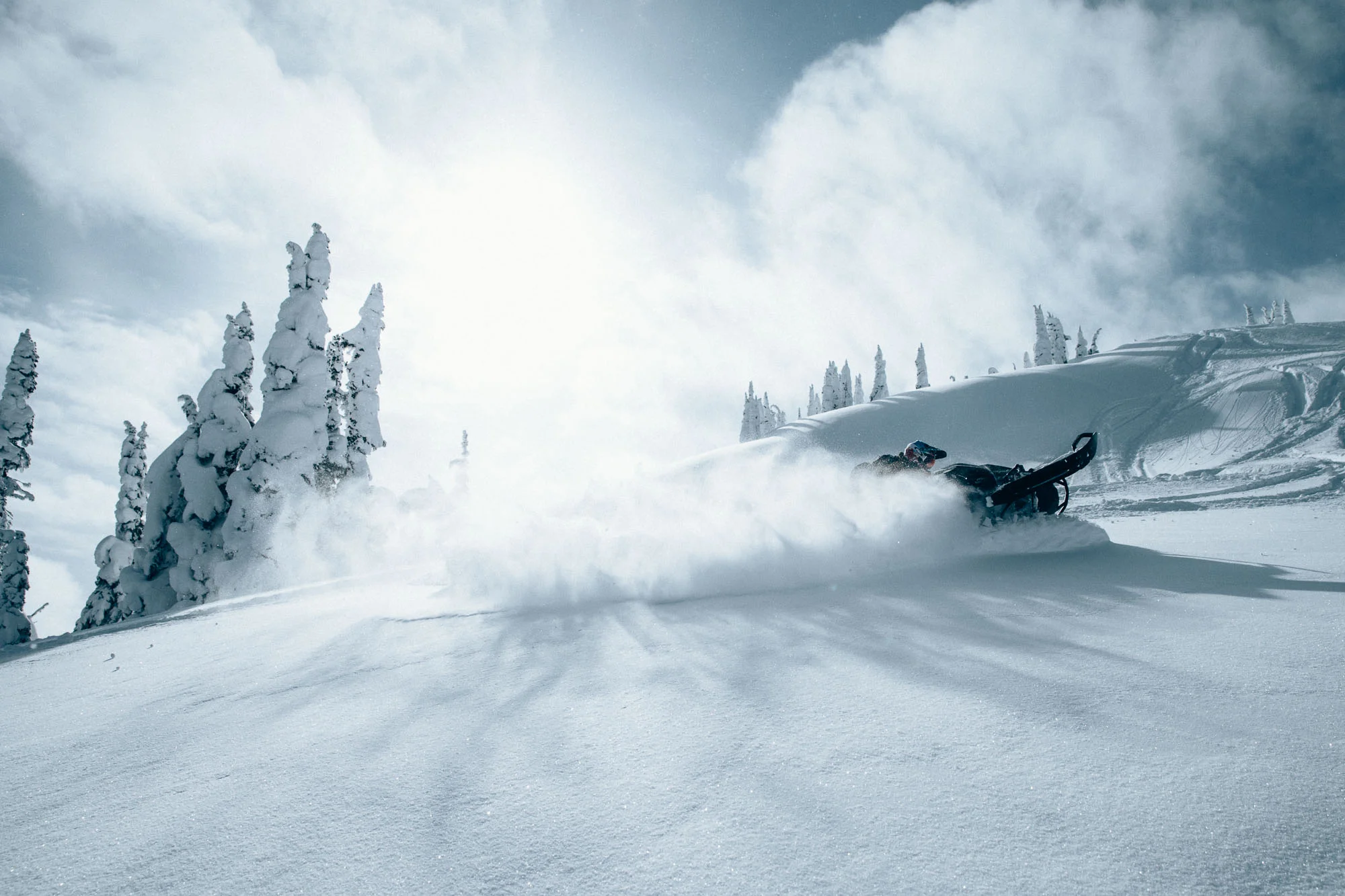 Photo: Robb Thompson