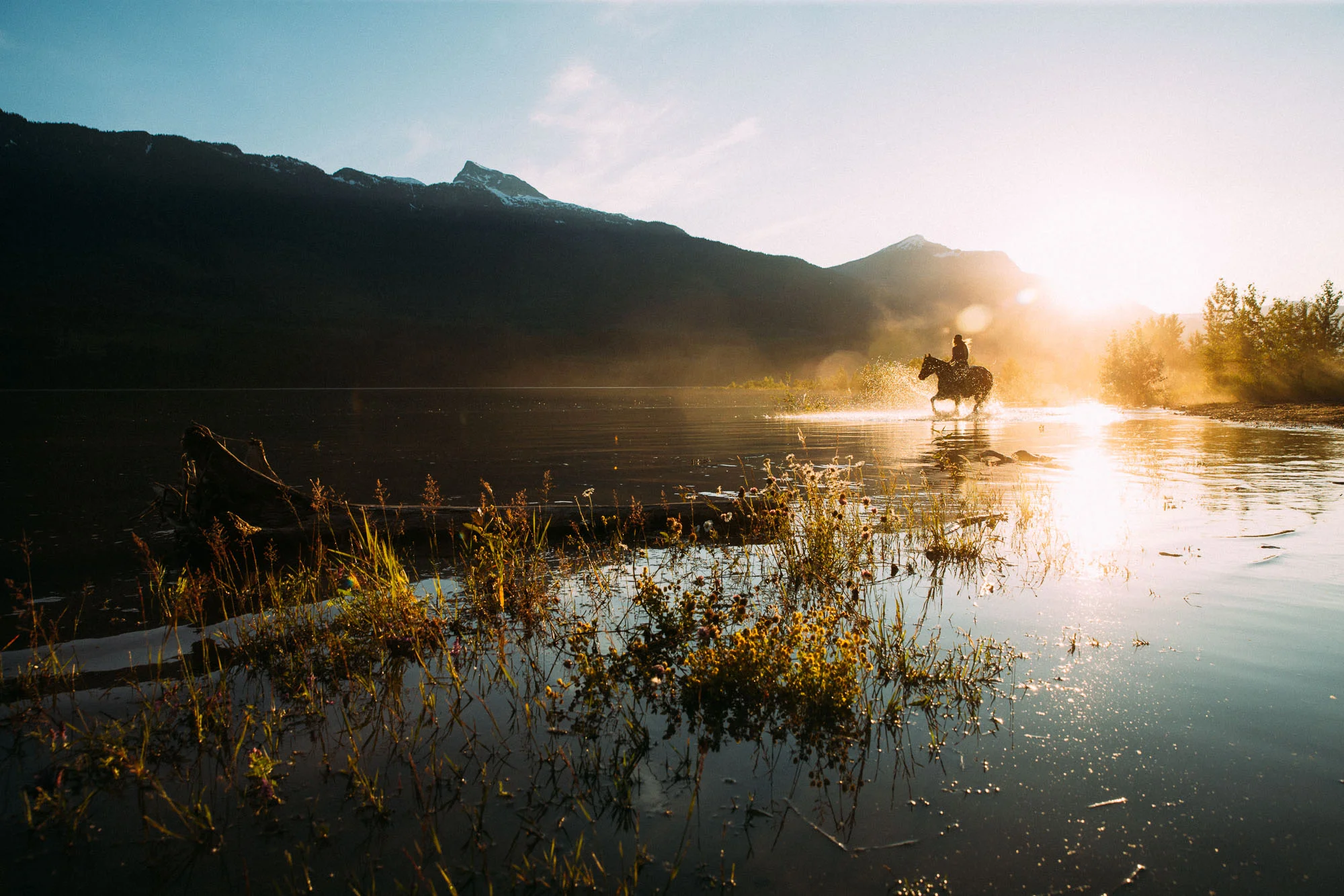 Casey Brown,
Revelstoke BC, Canada
Photo: Robb Thompson