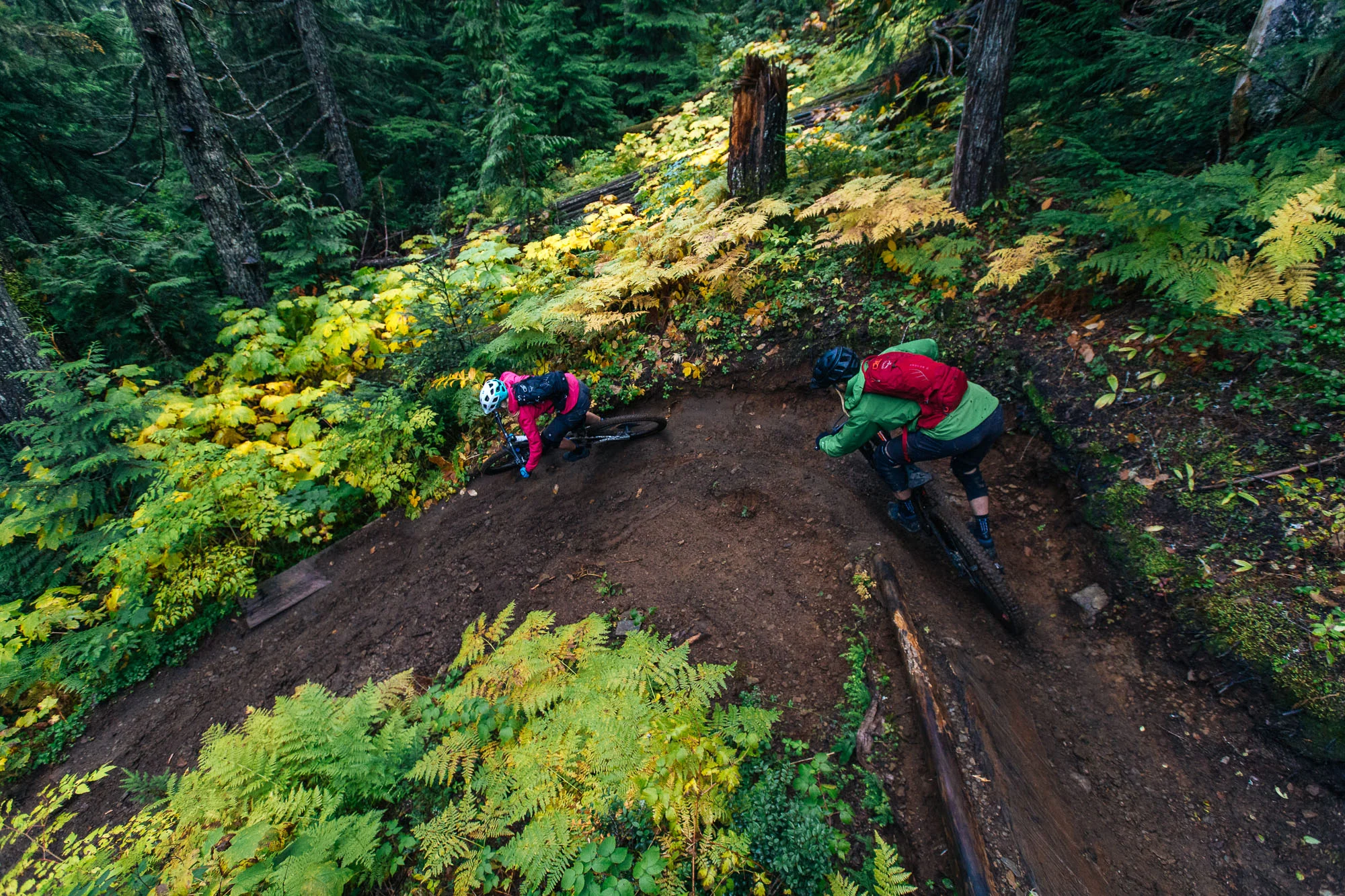 Robb Thompson Photo