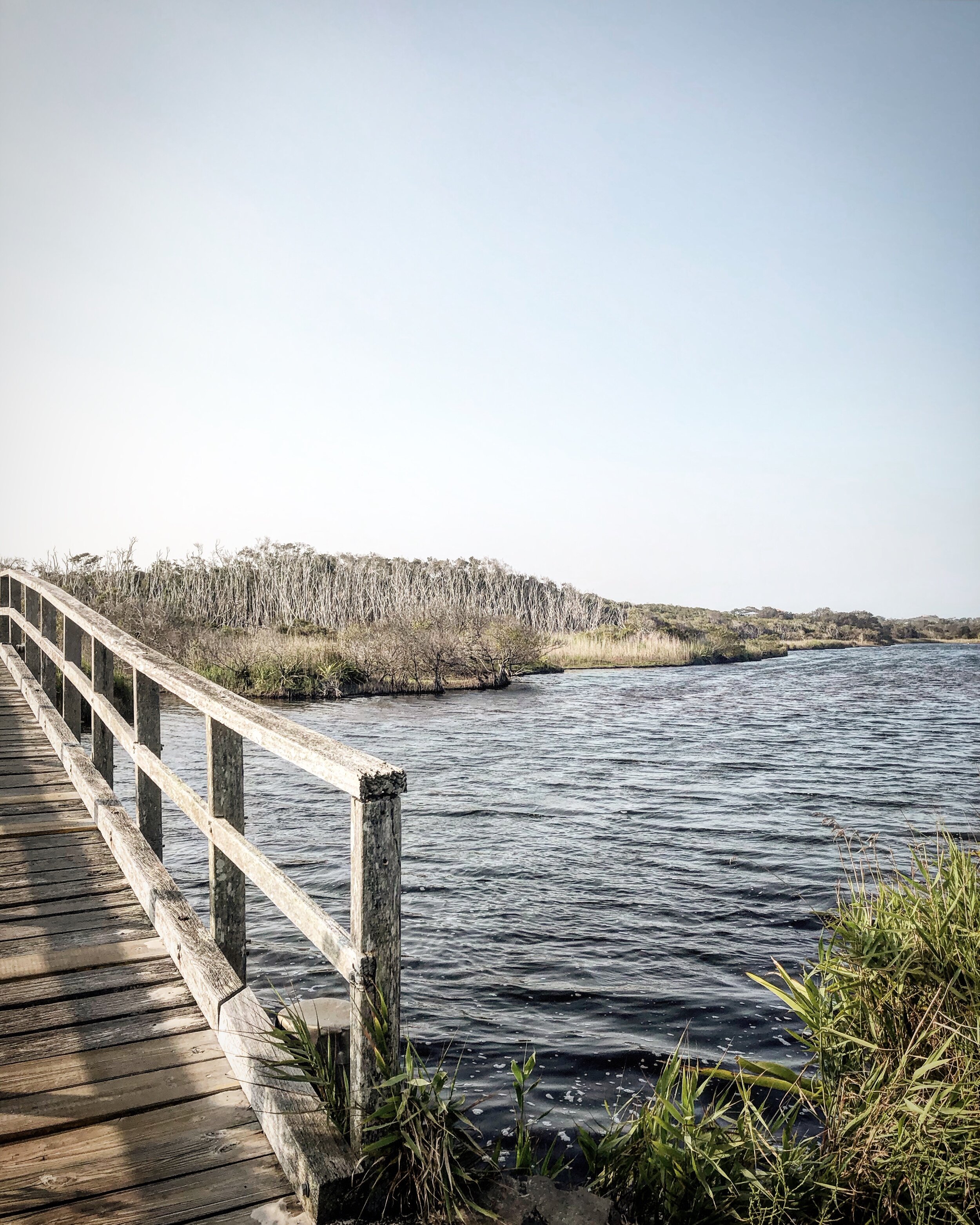   Tallow Creek, Byron Bay January 2020  