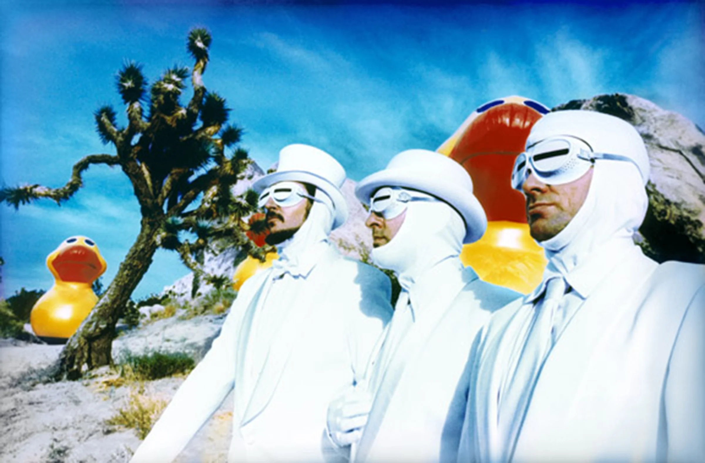 Primus (All Enquiries)