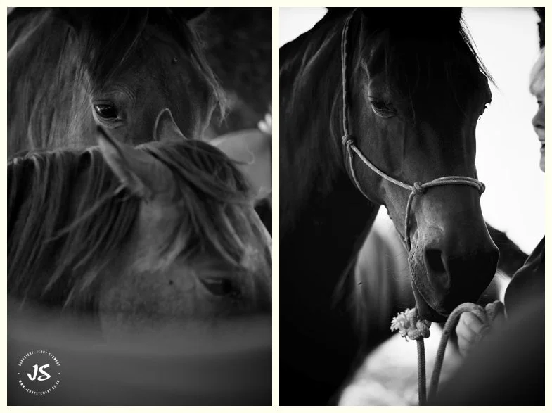 Hope through Horses Jo Corfield