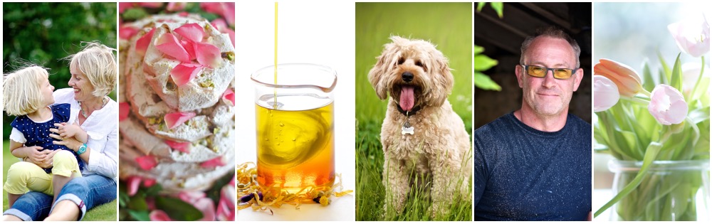 collage of commercial, food, still life and portrait images