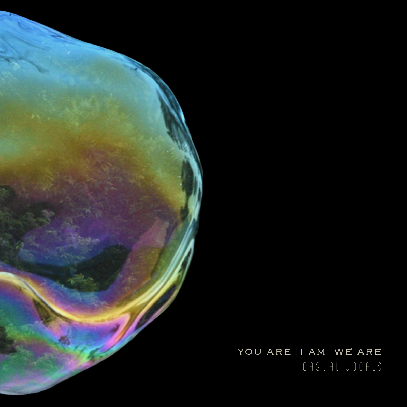 You Are I A We Are (CD)