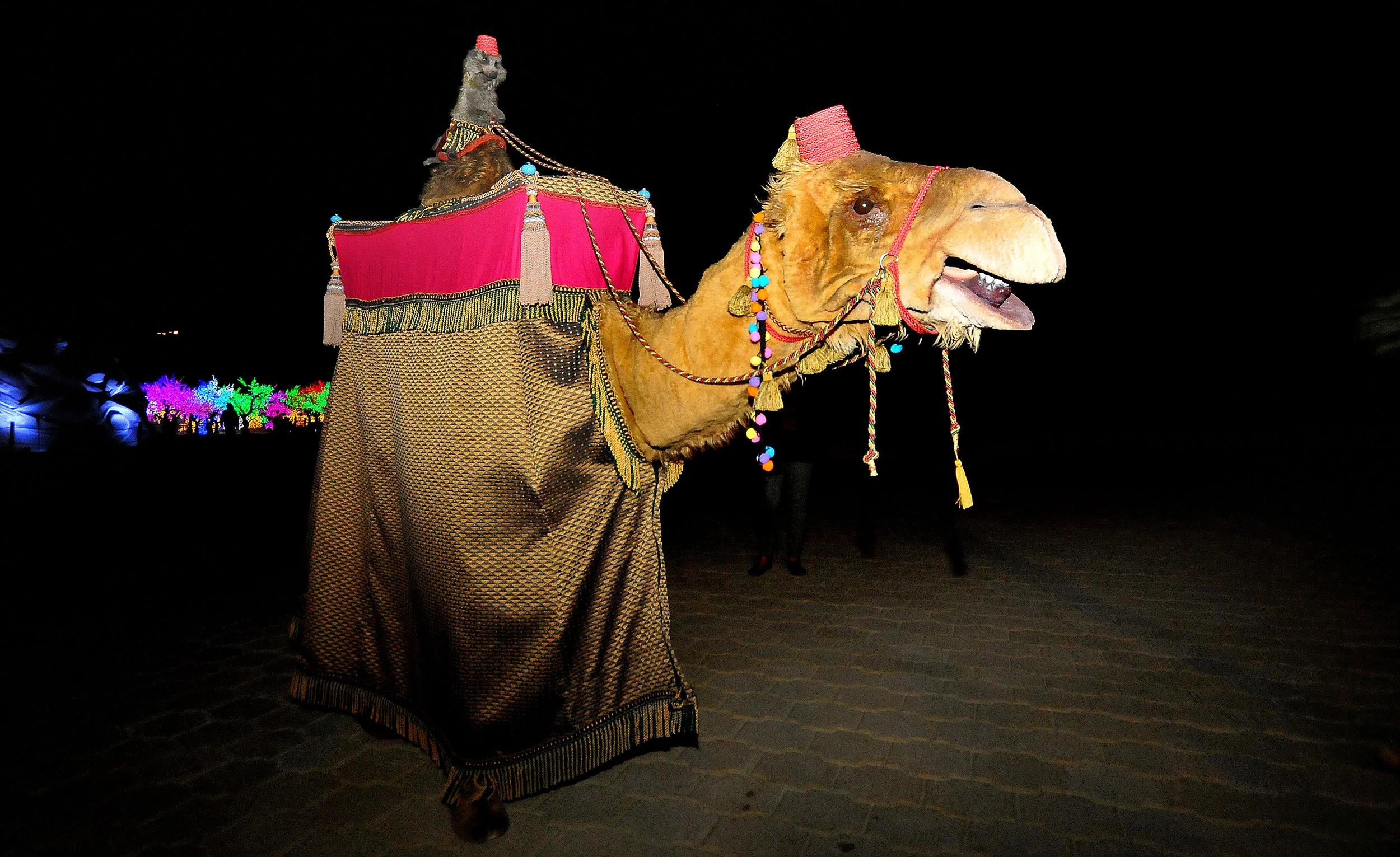 Camel Meerkat Prince Walkabout Festival Entertainment