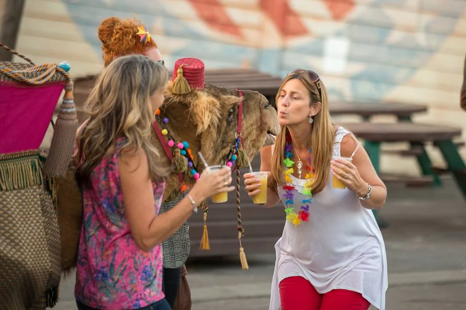 Walkabout Camel Corporate Event Entertainment