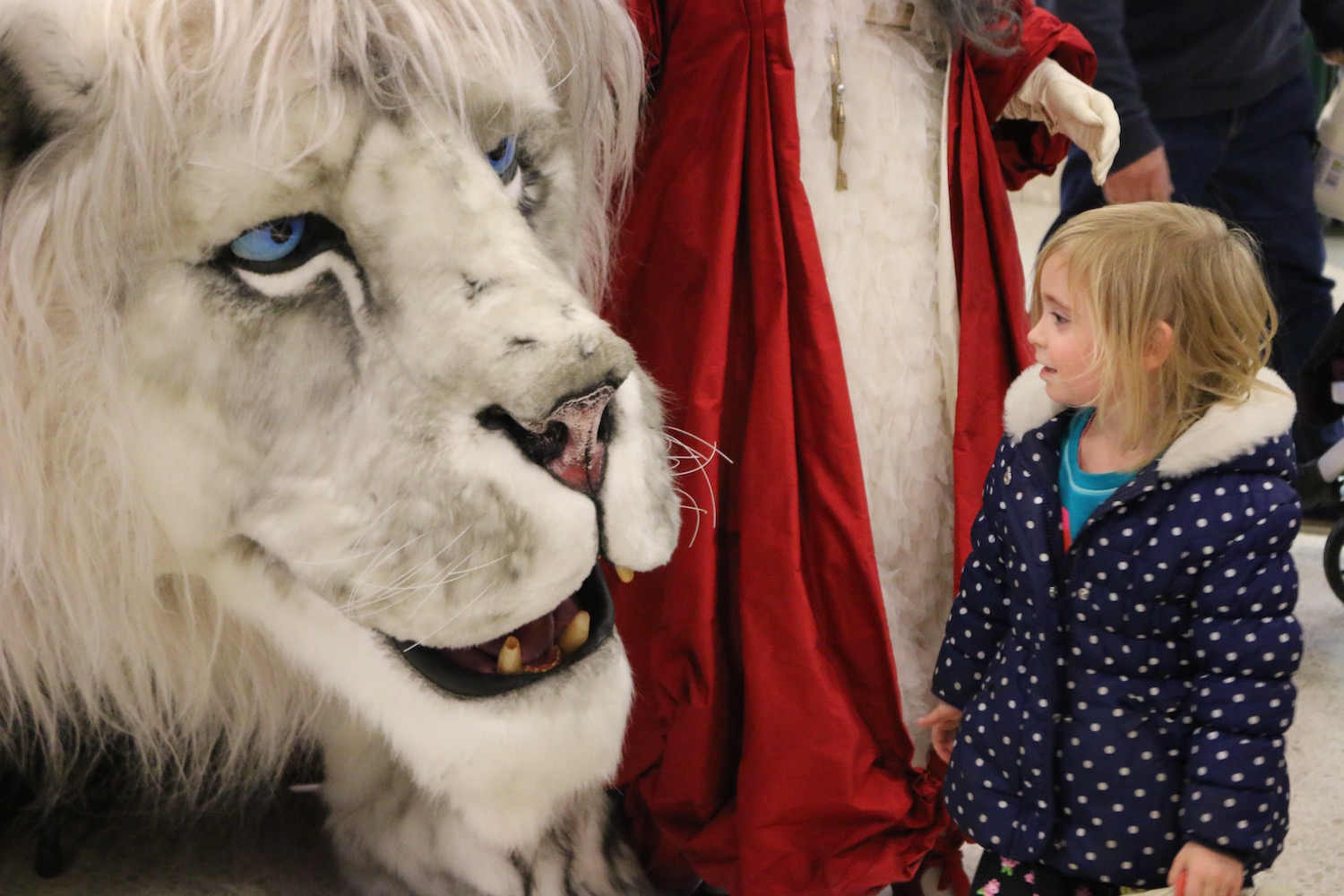 Giant Snow White Winter Lion Red Queen Christmas
