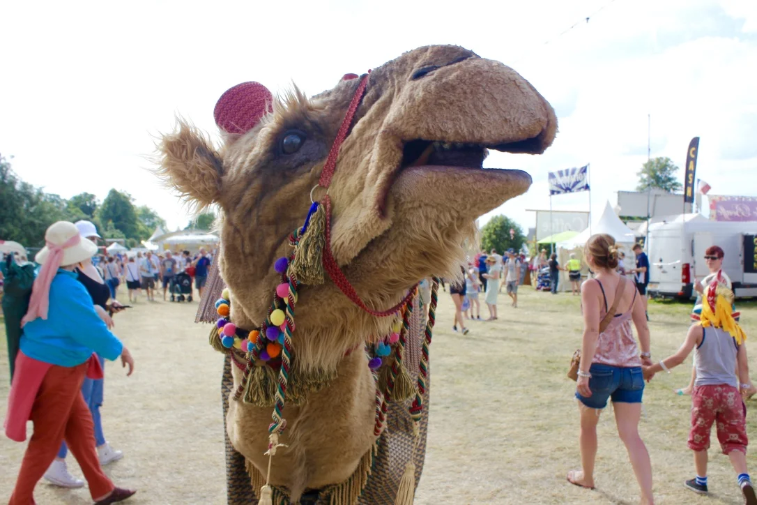 Animatronic Camel Meerkat Prince Amir Puppet Street Theatre