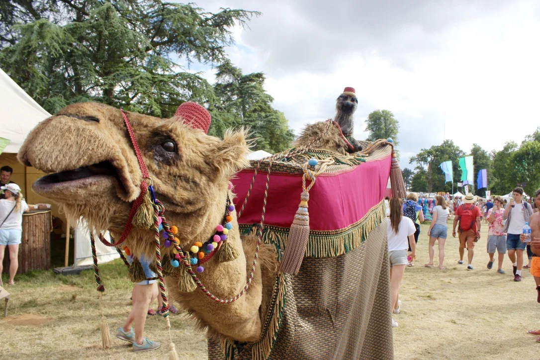 Camel Meerkat Prince Amir Puppet Animatronic Costume Character Street Theatre Walkabout Show