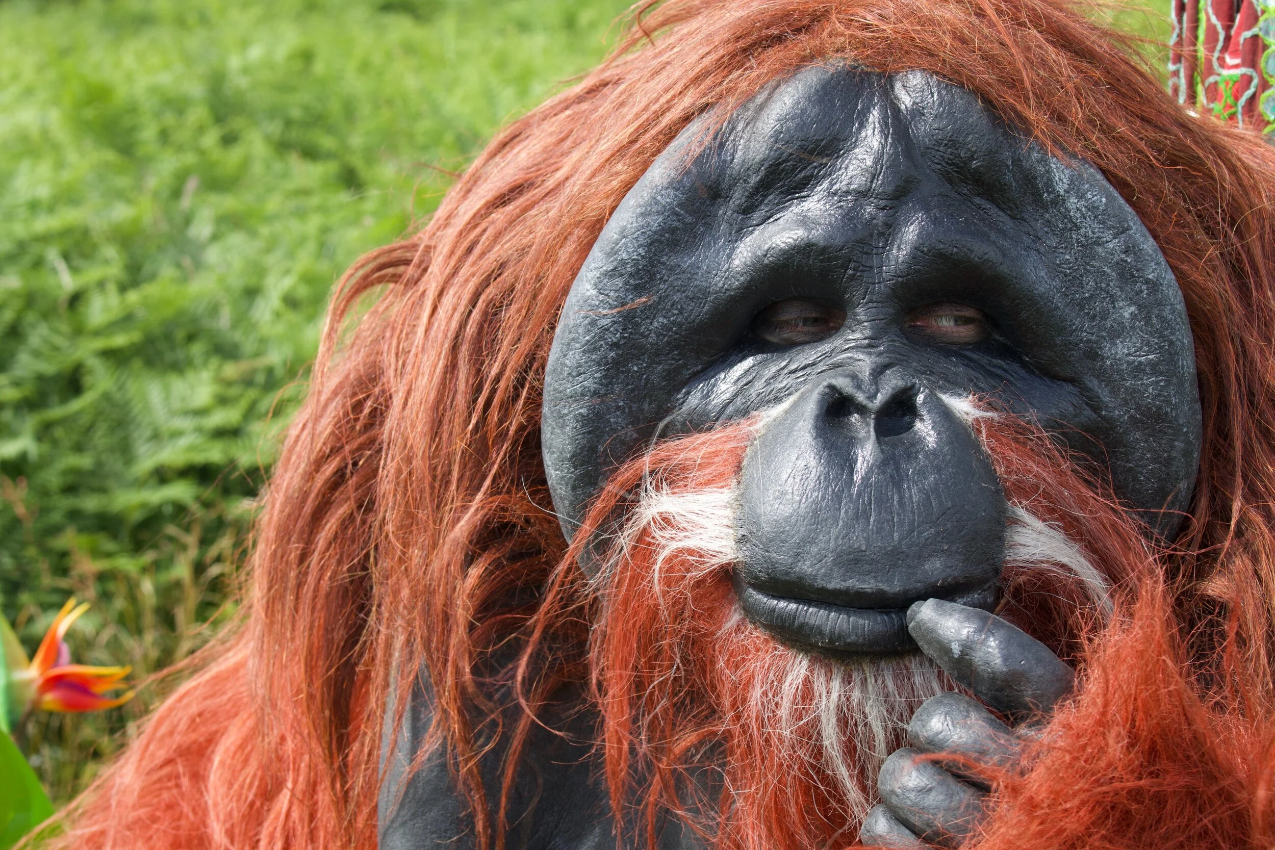 Orangutan Costume Character