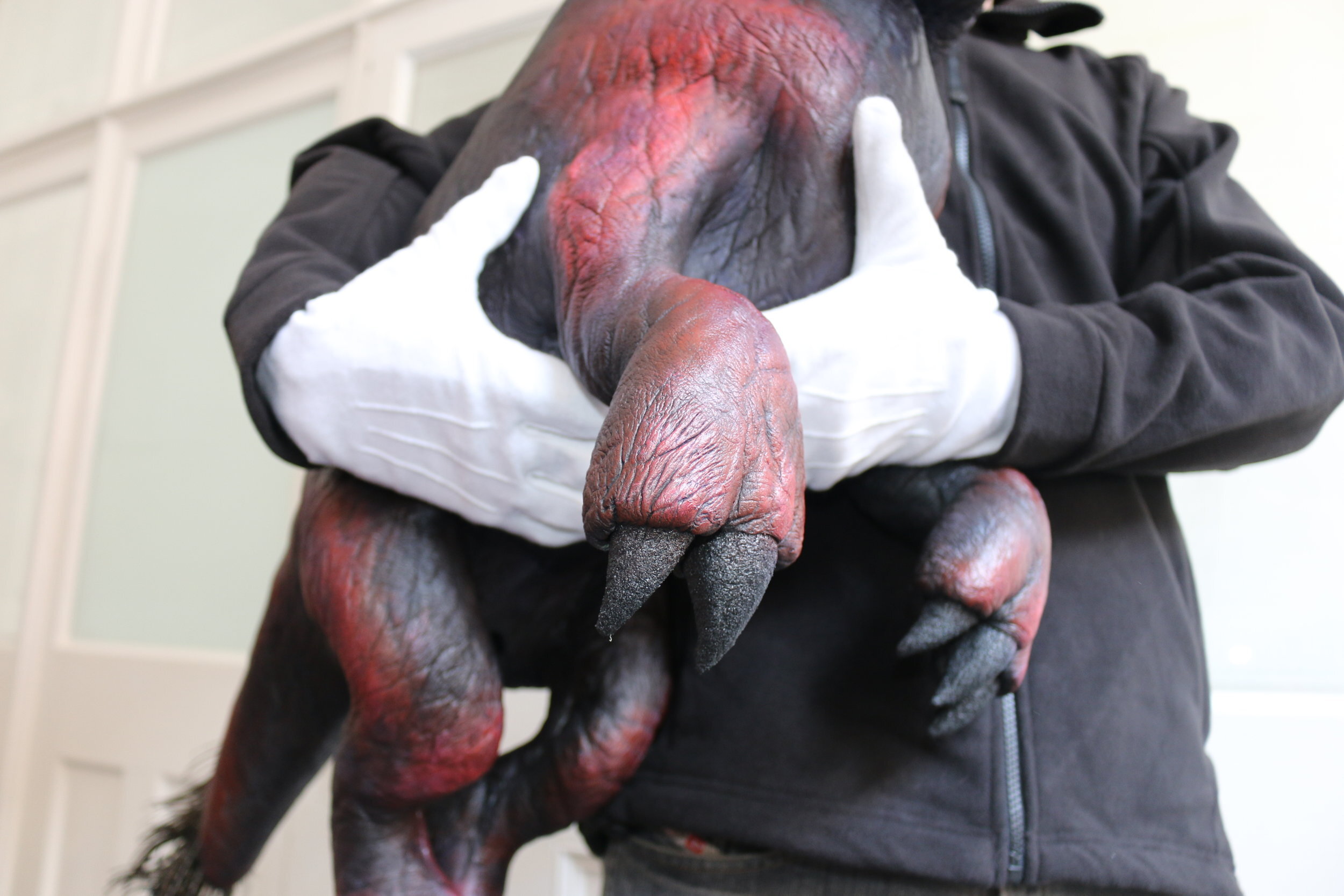 Puppet Making: Realistic Dinosaur
