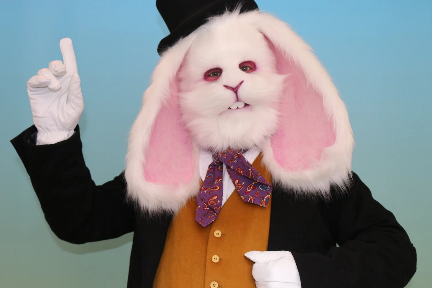 Costume Character Designers: Rabbit Bunny Animal Mask 