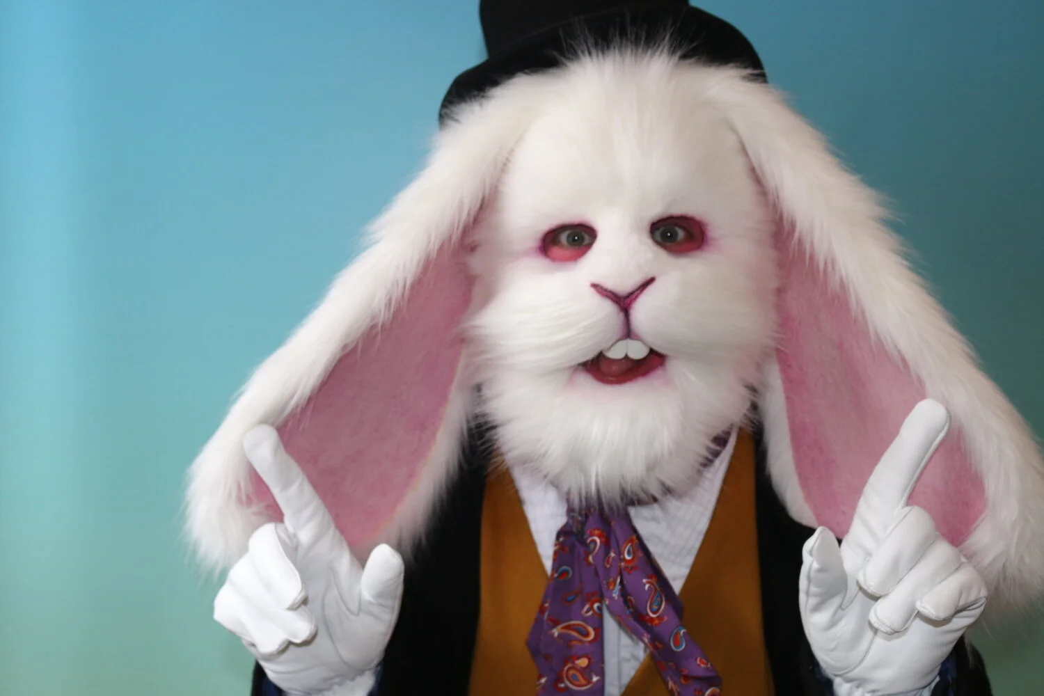 Creature Effects Designers: Rabbit Bunny Animal Mask 