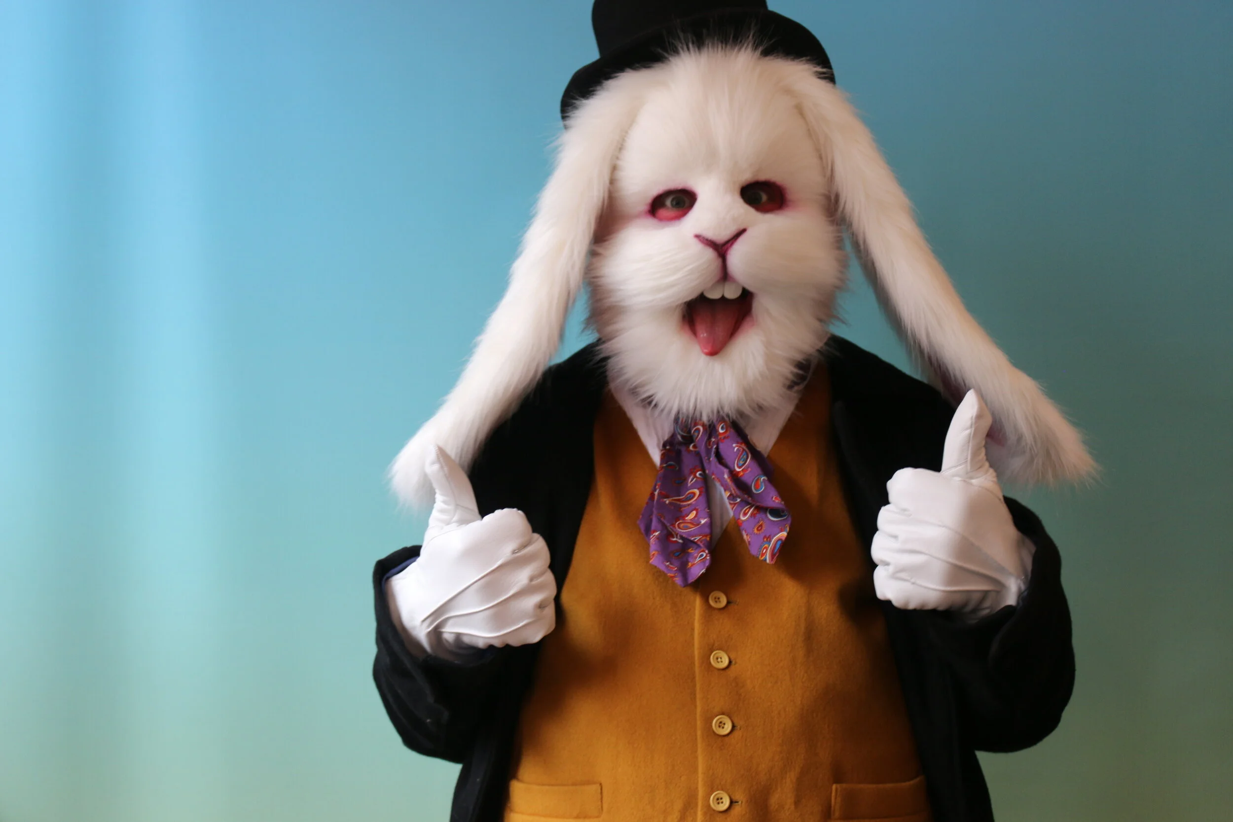 Costume Character Makers: Rabbit Bunny Animal Mask 
