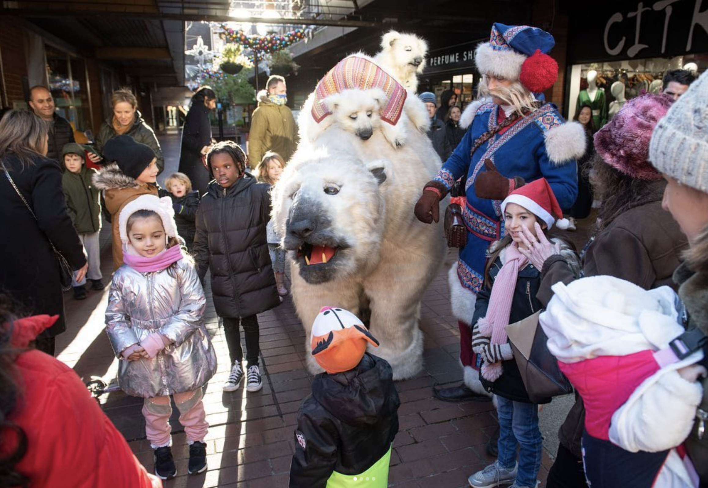 Inka Polar Bear Walkabout Act