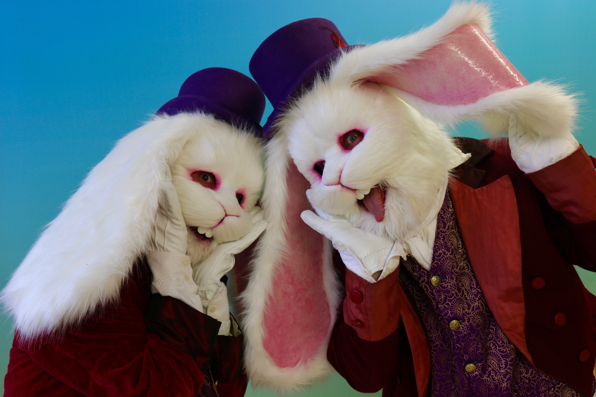 White Rabbit Costume Characters