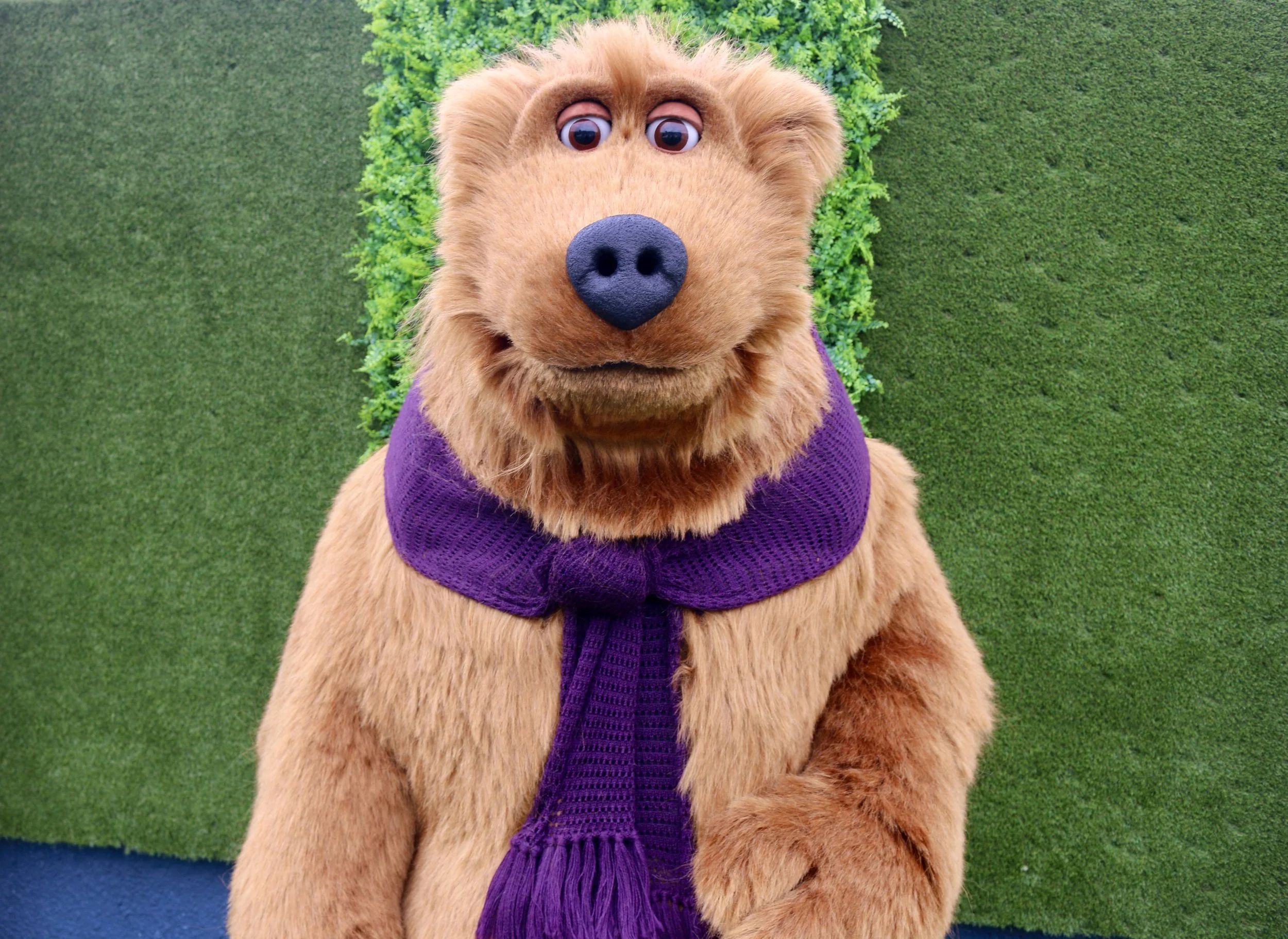 Puppet Maker UK Animatronic Bear Costume Character 