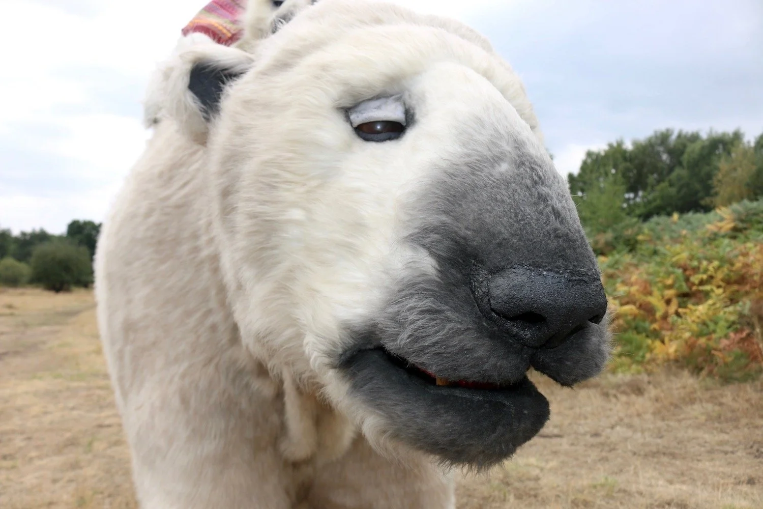 Mother Polar Bear Creature Costume Hire Event Entertainment