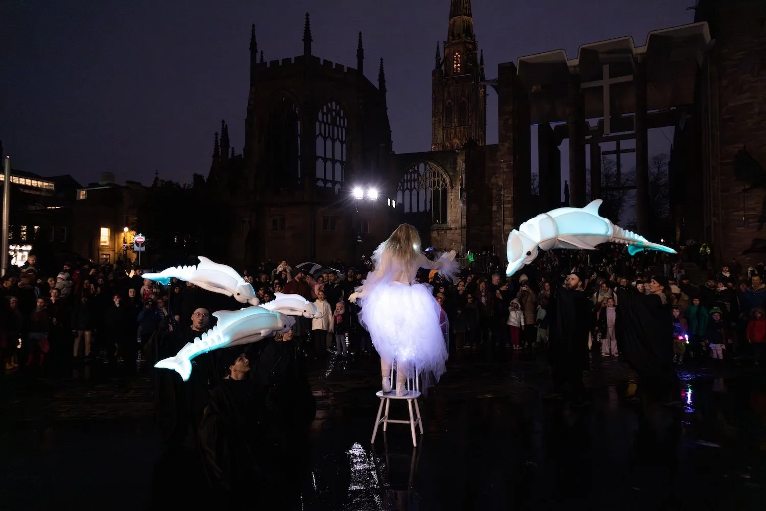  Illuminated light-up dolphin puppetry dance walkabout show performance 
