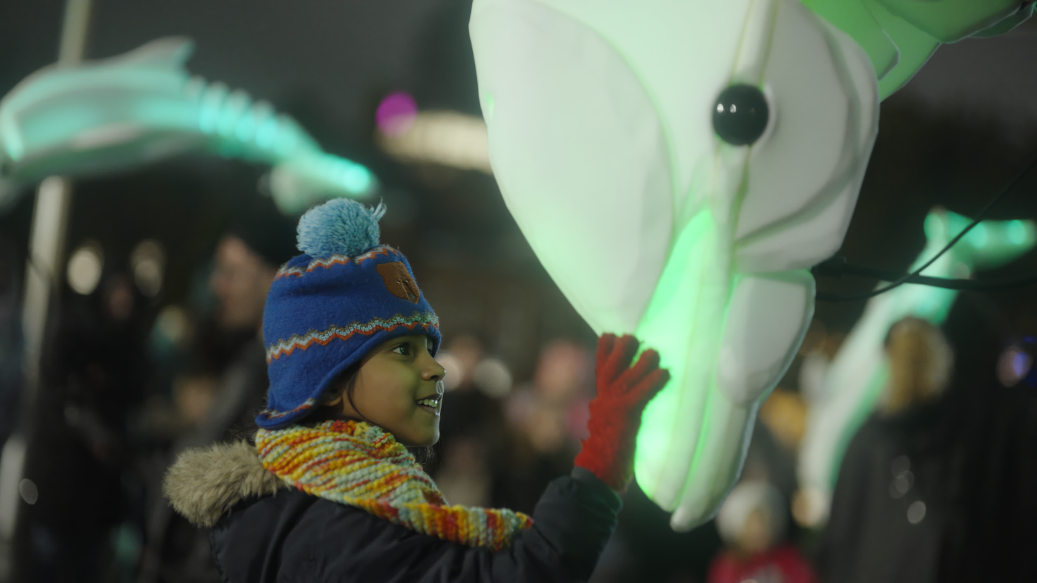 Child Puppet Dolphin Meet