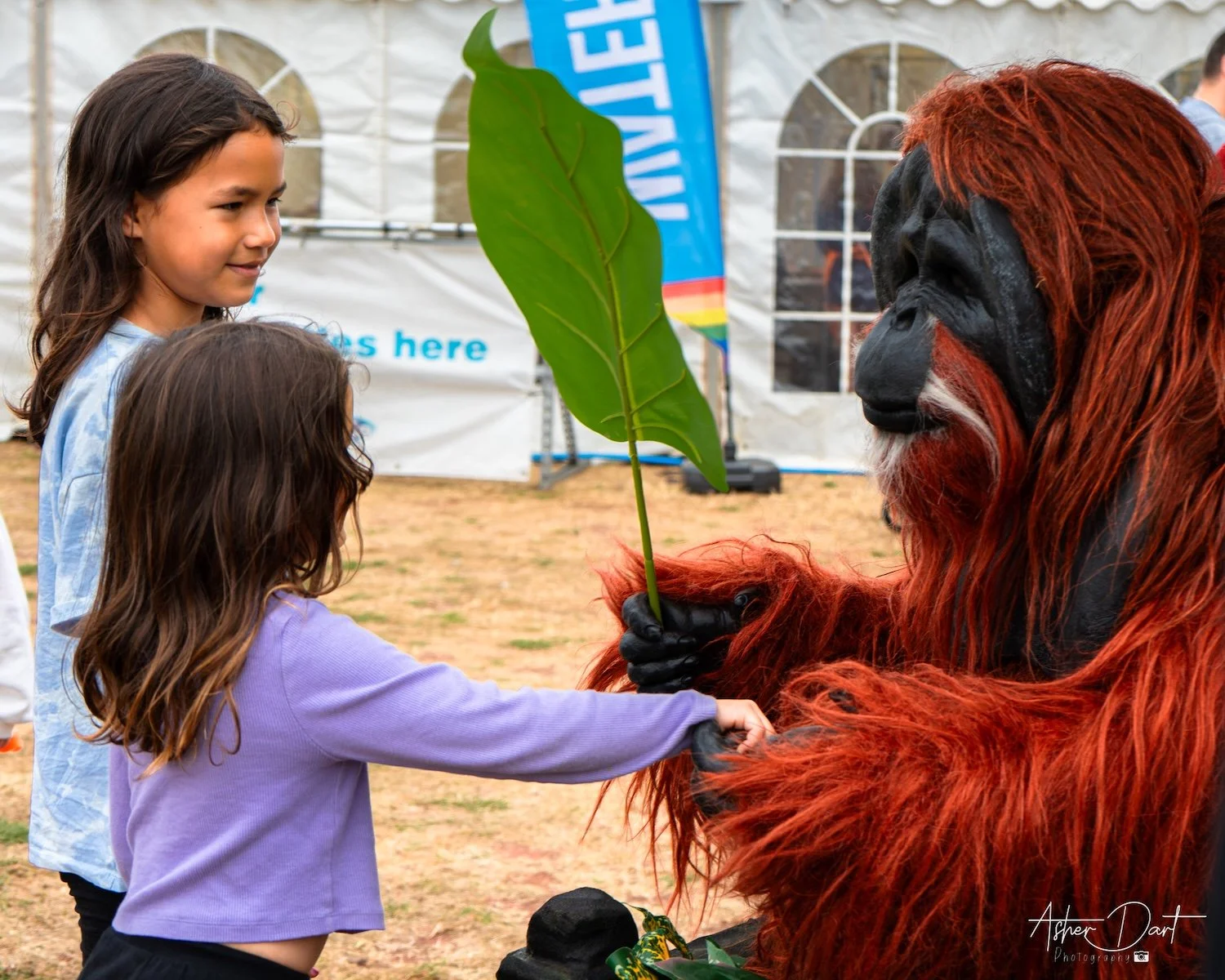 Naturalistic Orangutan Costume Character Entertainment Performance