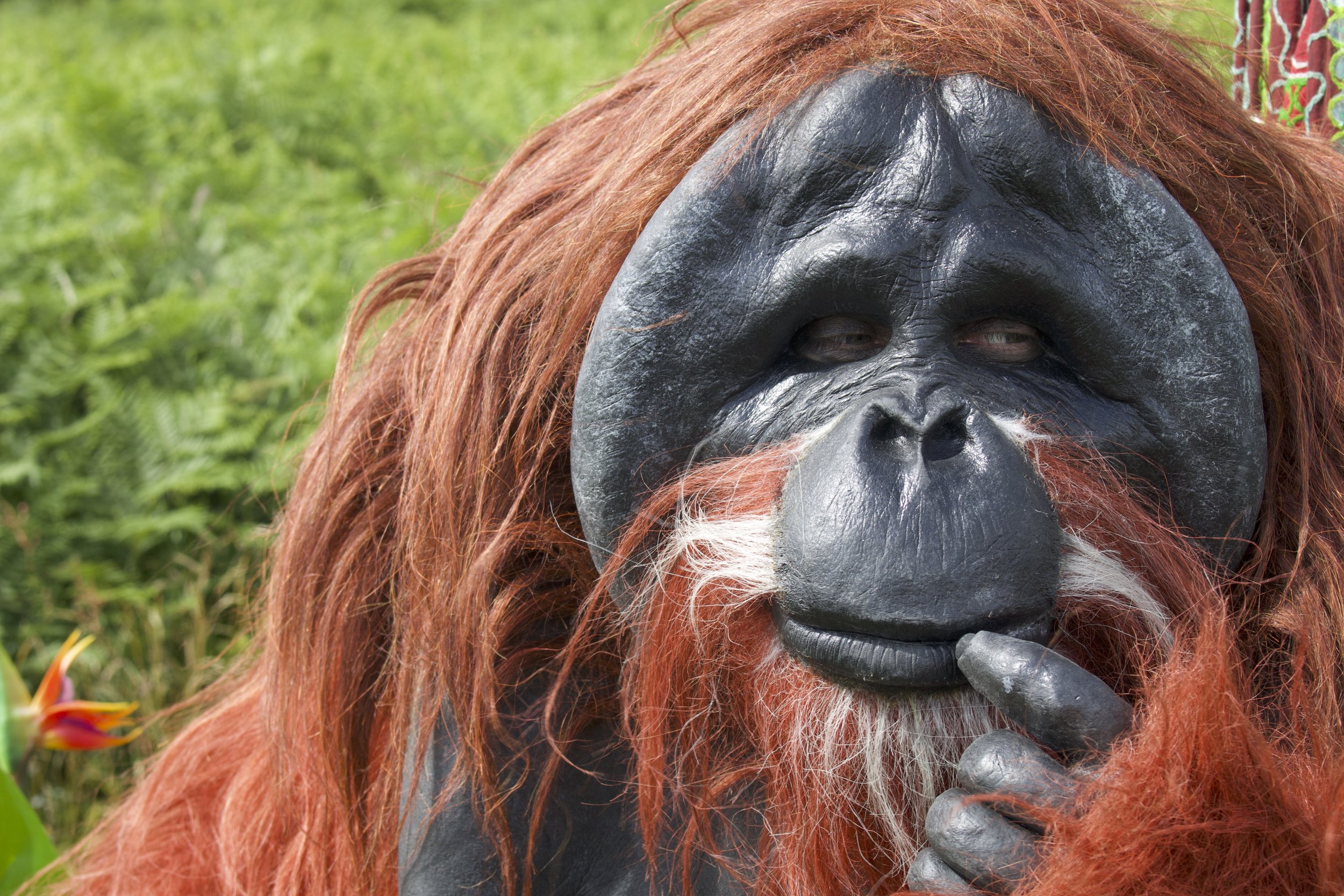 Creature Encounters Puppets Puppetry