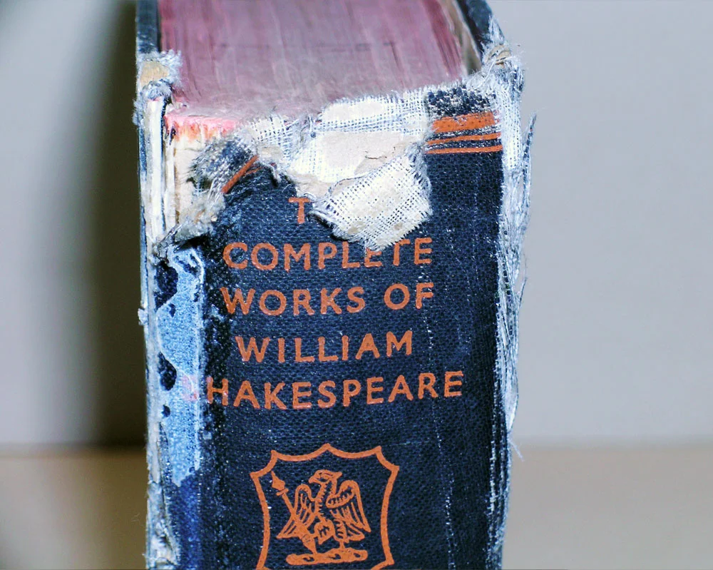 shakespeare-before-1000px.jpg