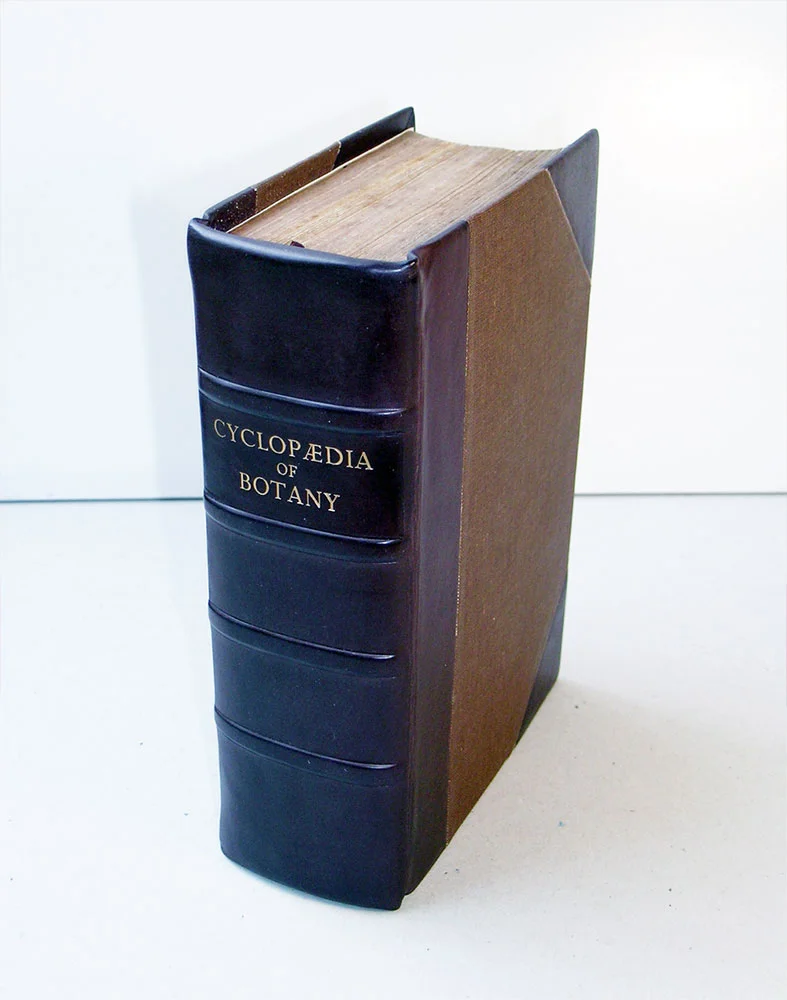 botany-after-1000px.jpg