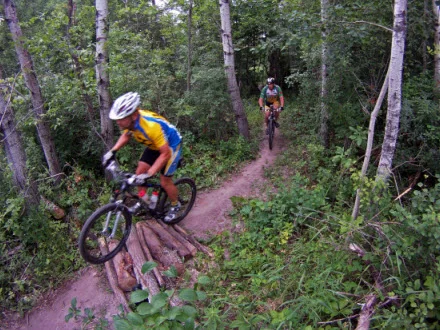 single track.jpg