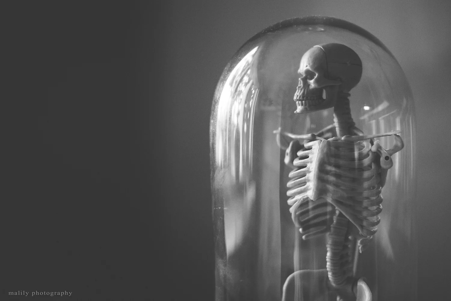 s-October 06, 2013-66.jpg