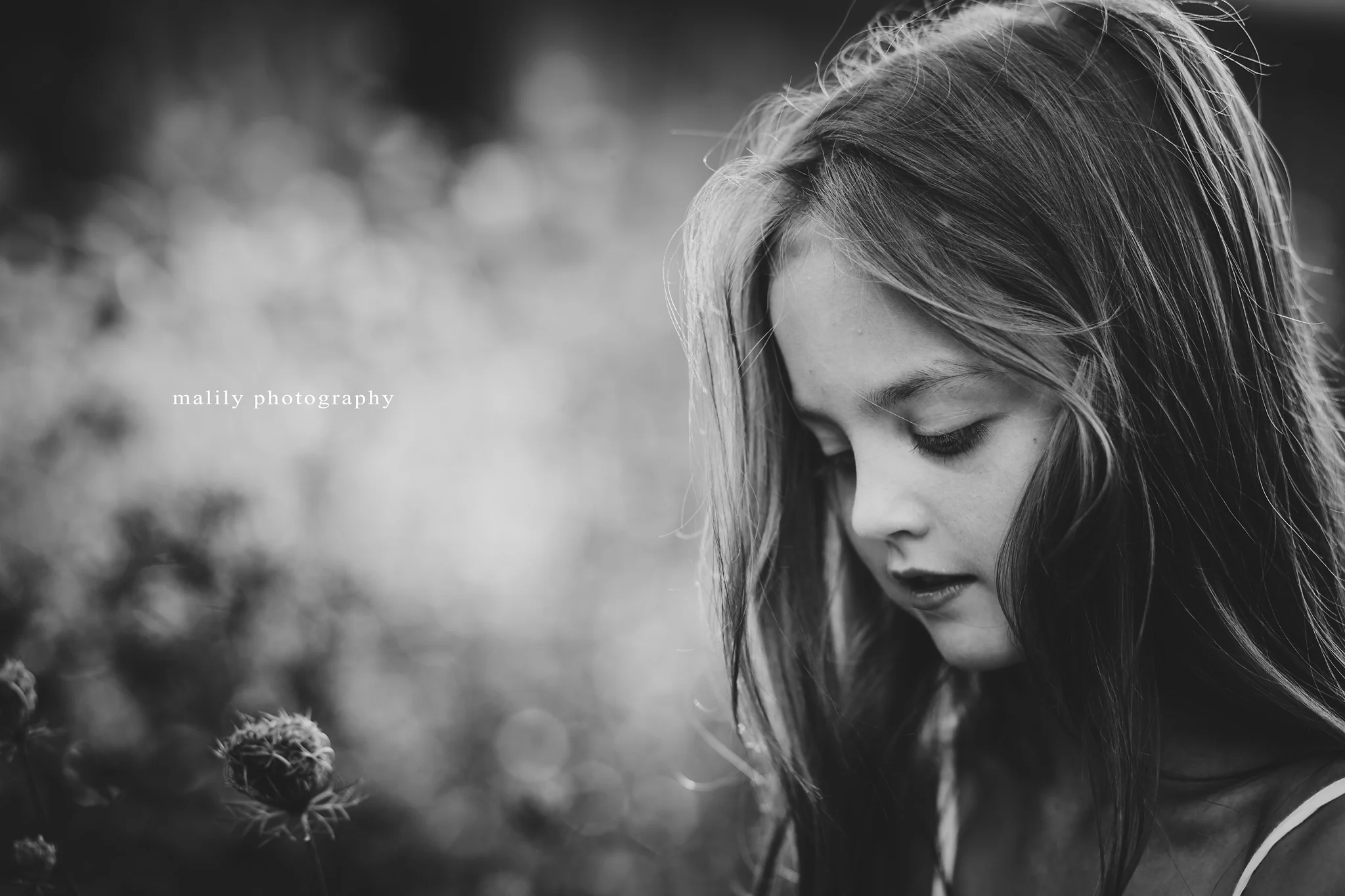 malily photography | Reading, PA Child Photography
