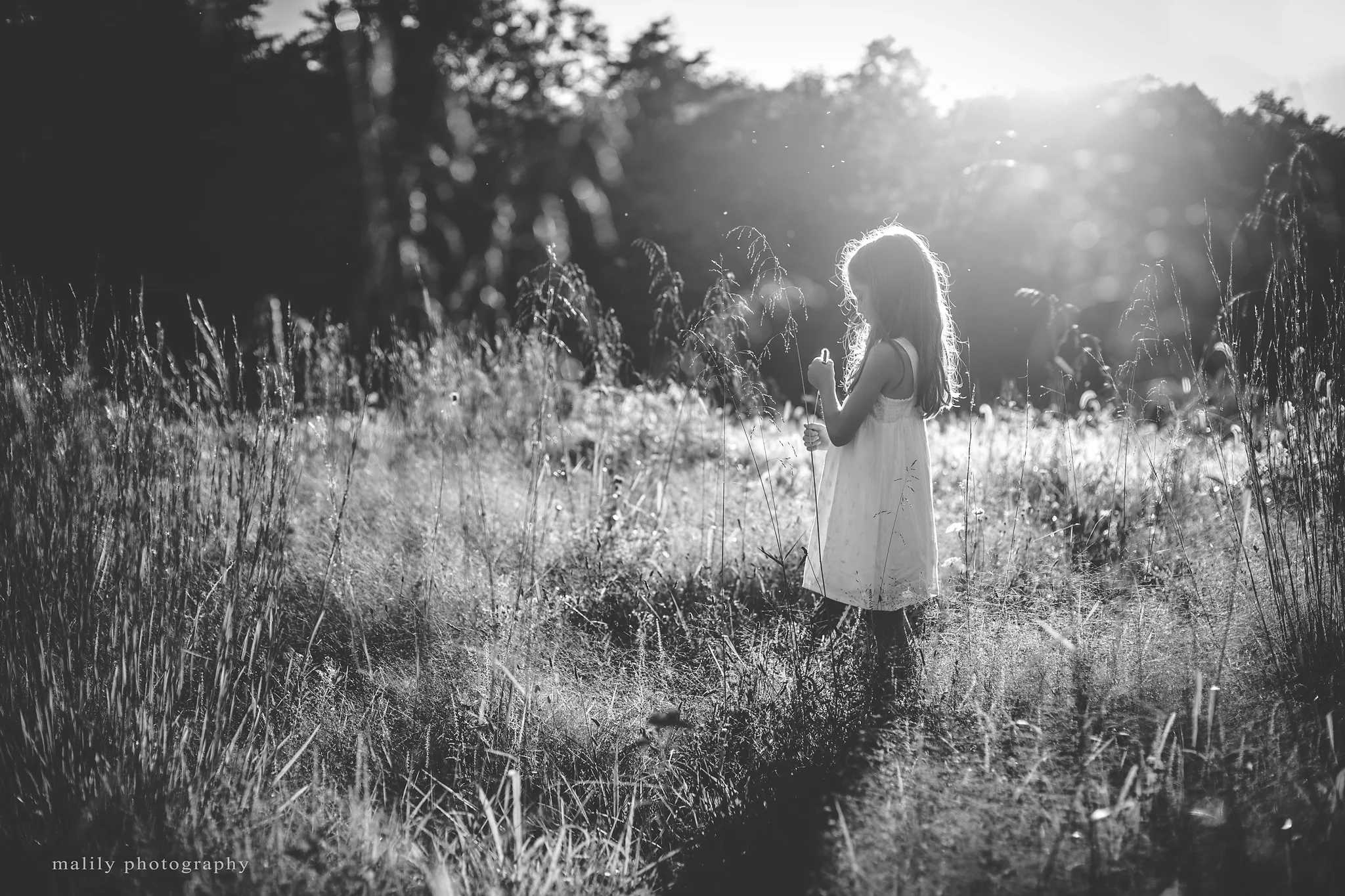 malily photography | Reading, PA Child Photography