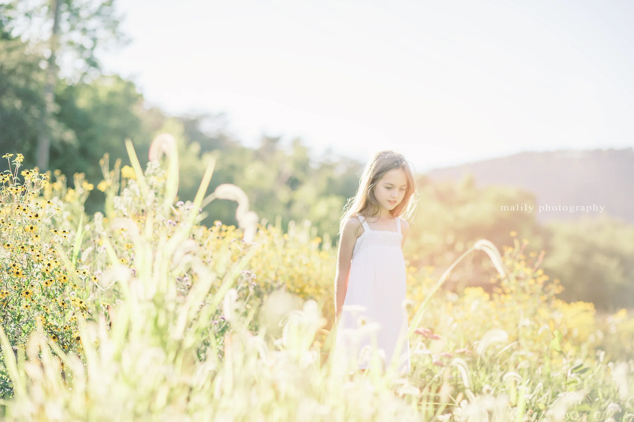 malily photography | Reading, PA Child Photography