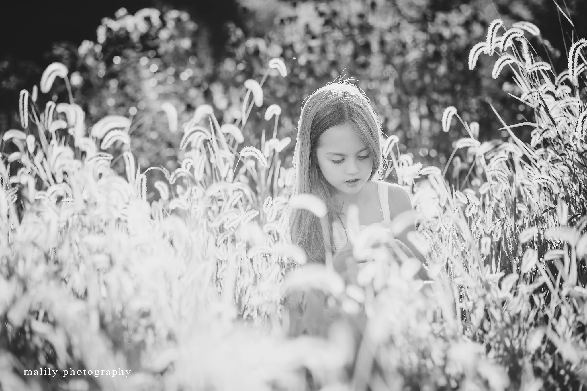 malily photography | Berks County Child Photographer