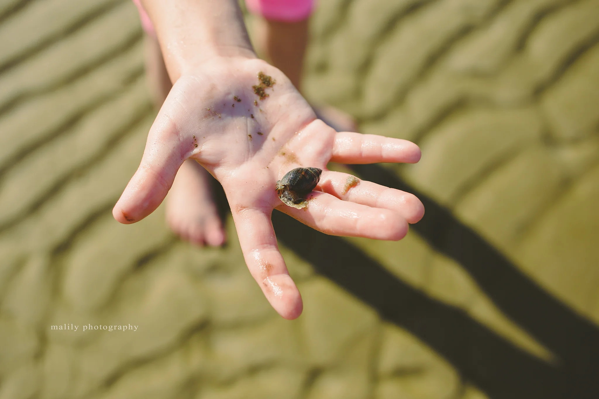 malily photography | pottsville, pa photographer