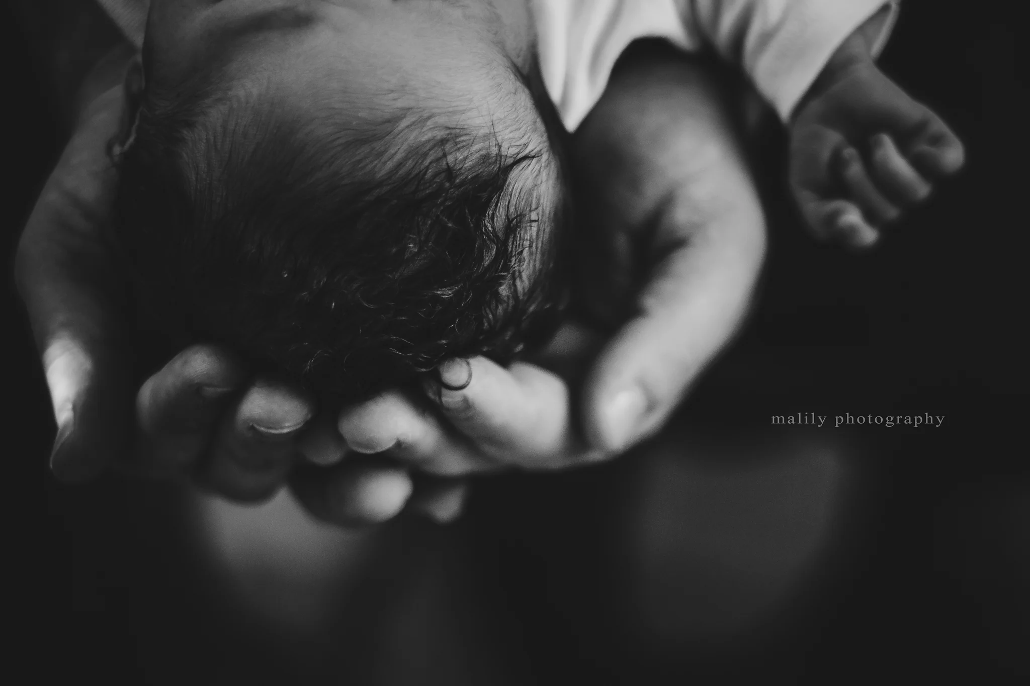 malily photography | lifestyle family photographer