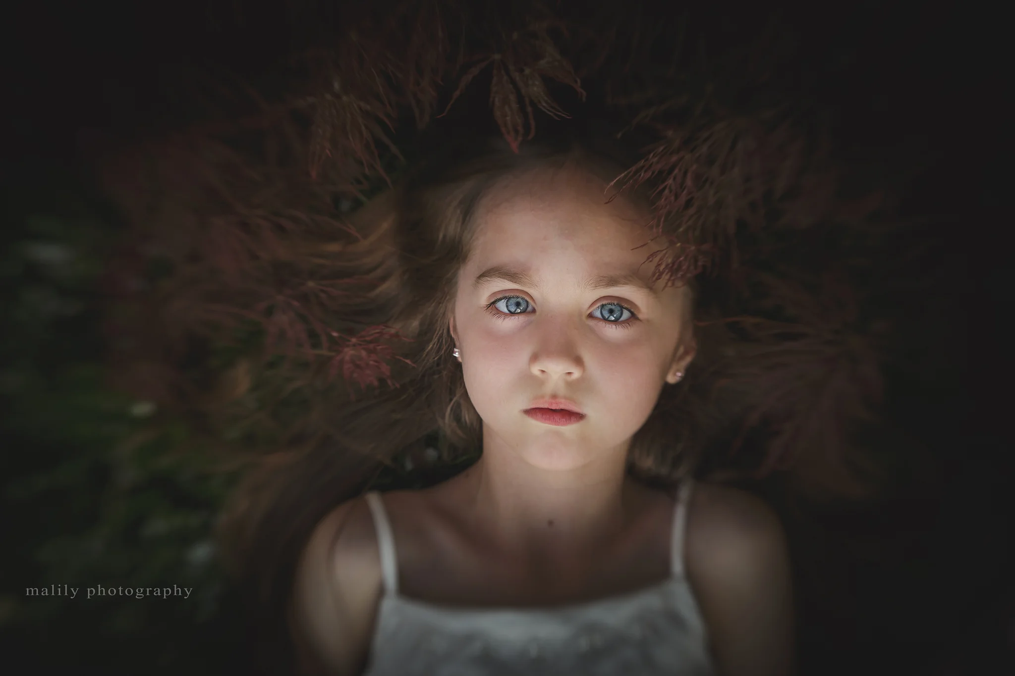 malily photography | fine art child photographer
