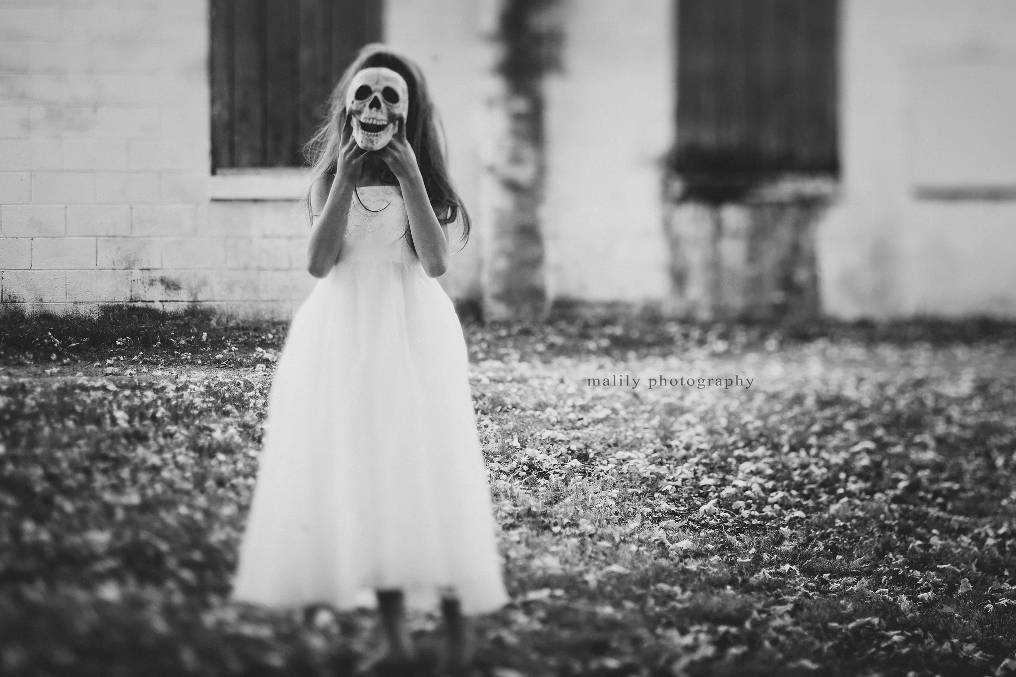 halloween | malily photography