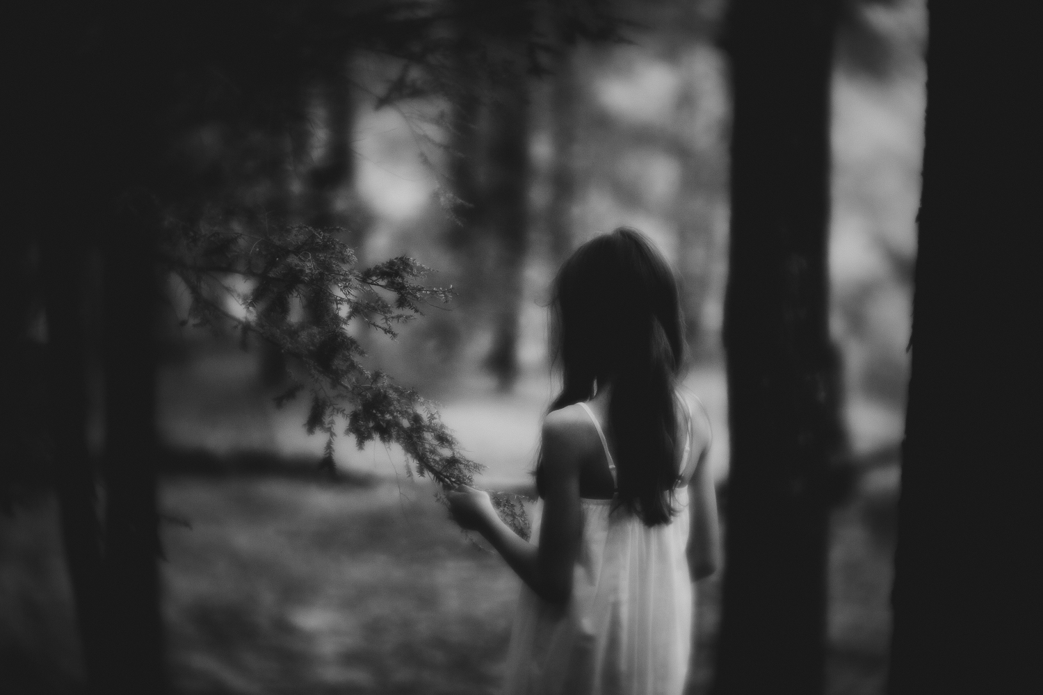 Ashlee Krammes | Lensbaby Velvet 85